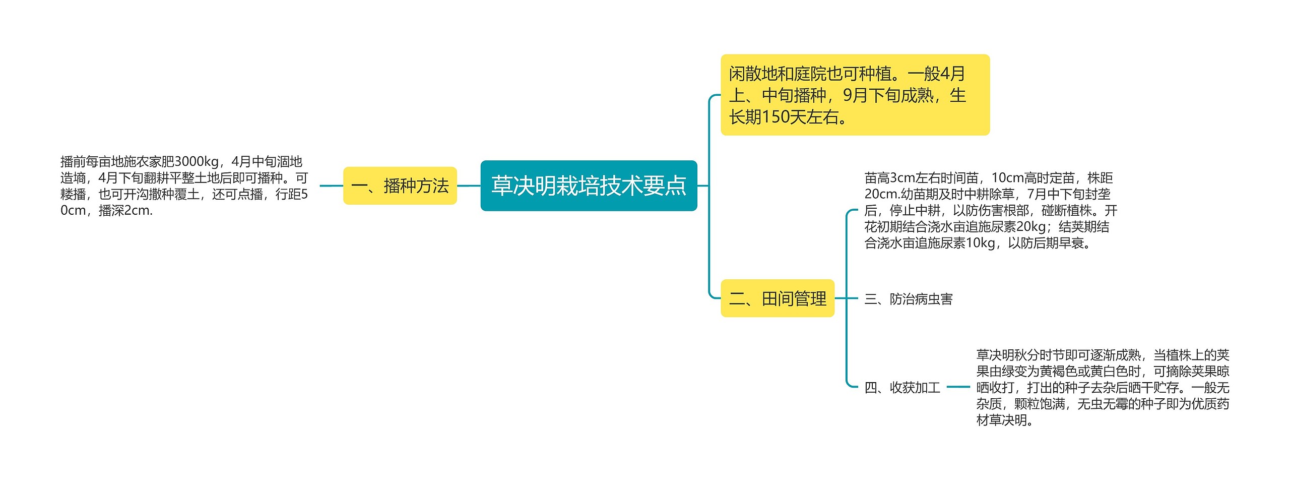 草决明栽培技术要点