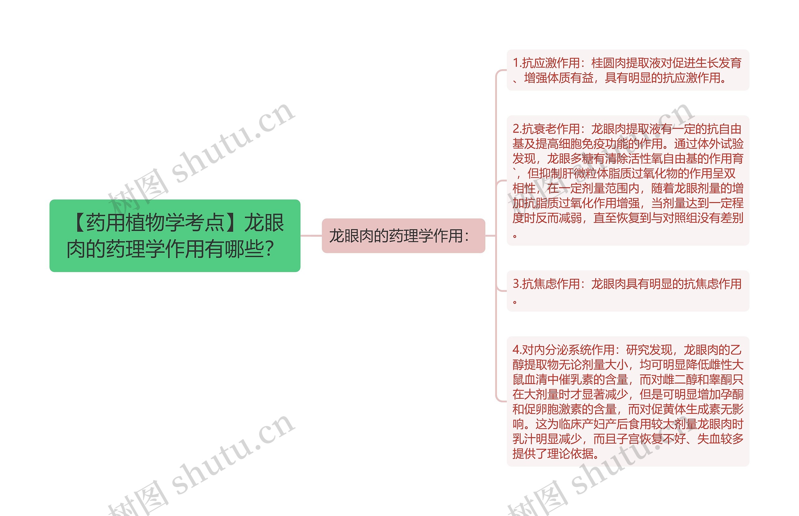 【药用植物学考点】龙眼肉的药理学作用有哪些？思维导图