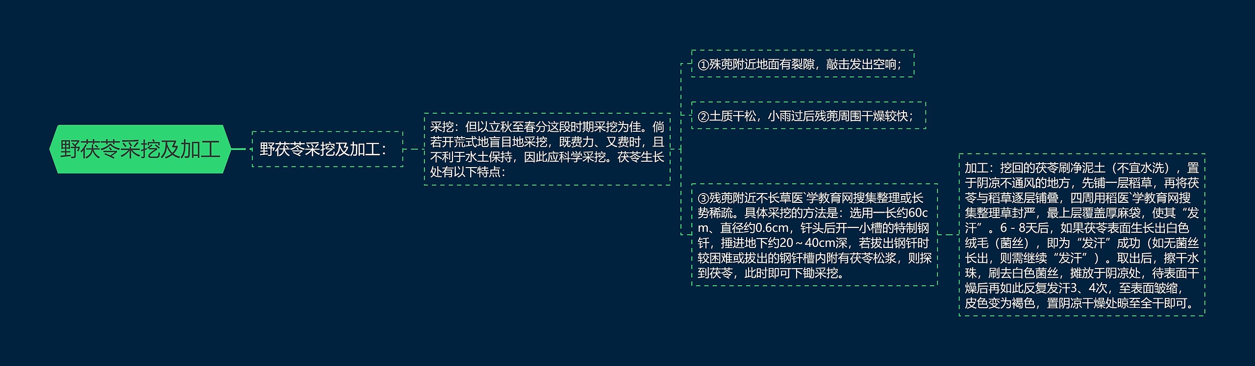 野茯苓采挖及加工