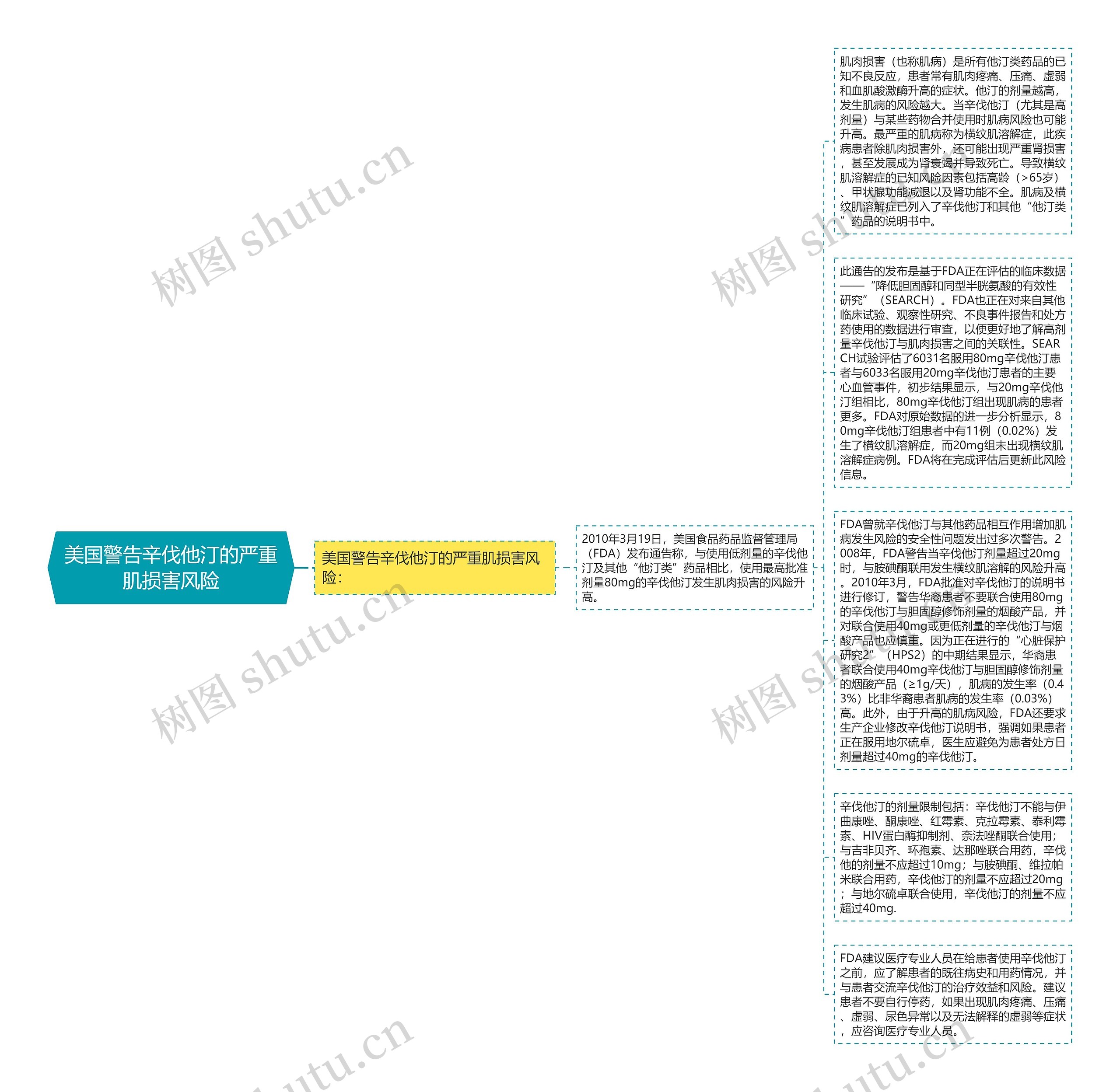 美国警告辛伐他汀的严重肌损害风险思维导图
