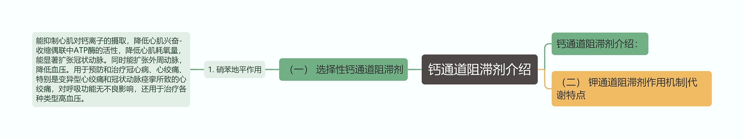 钙通道阻滞剂介绍思维导图