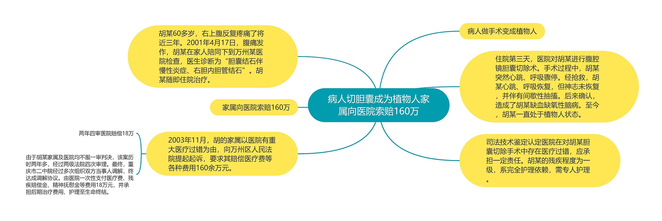 病人切胆囊成为植物人家属向医院索赔160万思维导图