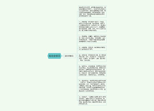 栽培金银花