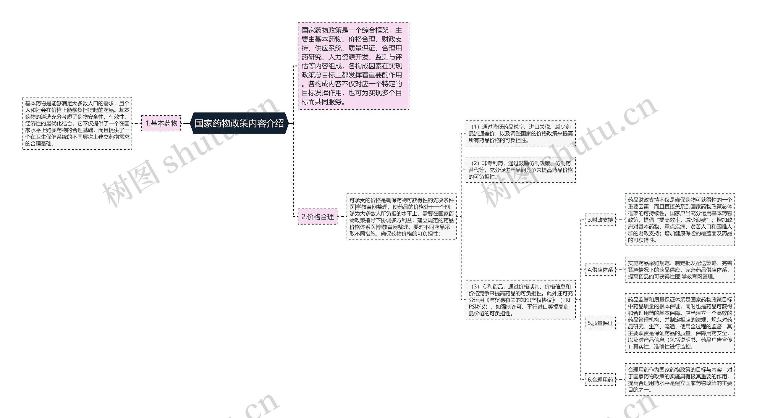 国家药物政策内容介绍