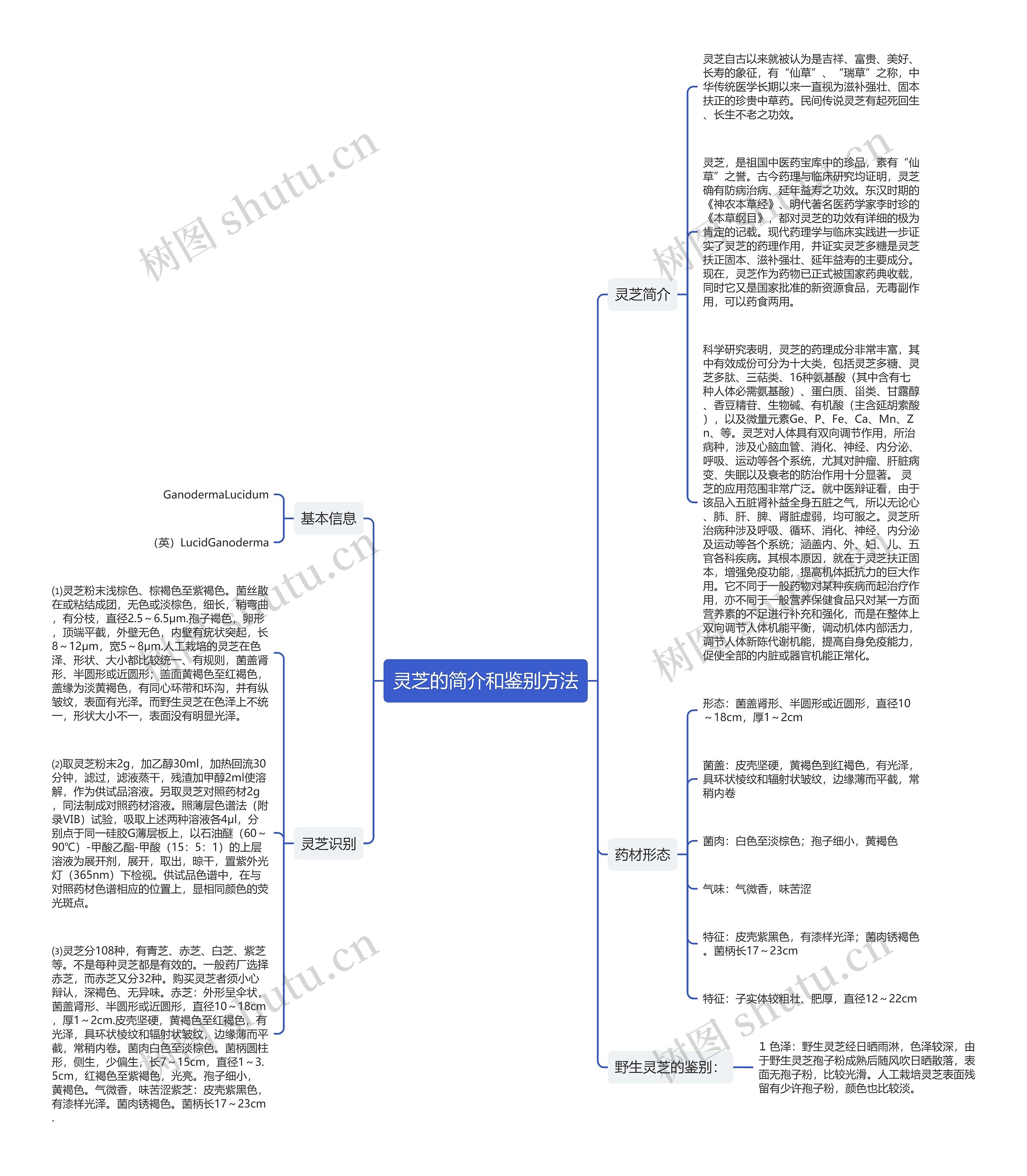灵芝的简介和鉴别方法思维导图