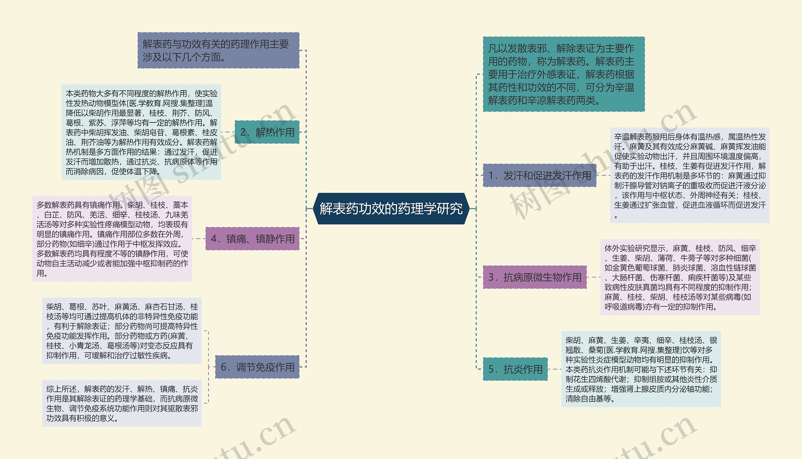 解表药功效的药理学研究思维导图