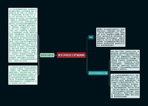 麦冬|采收|加工|贮藏|炮制