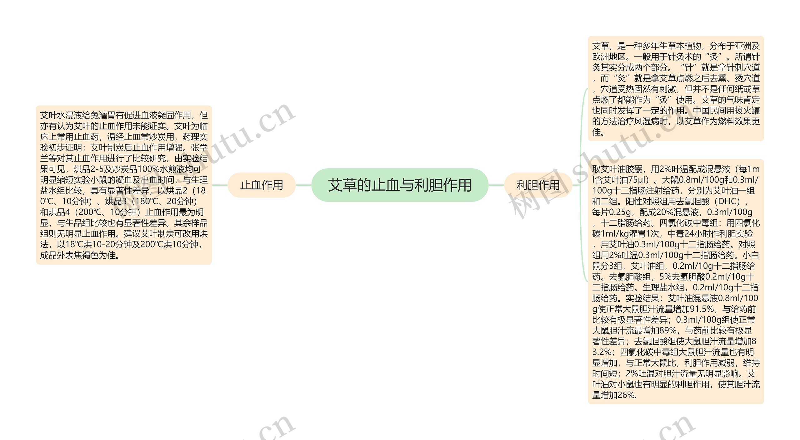 艾草的止血与利胆作用思维导图