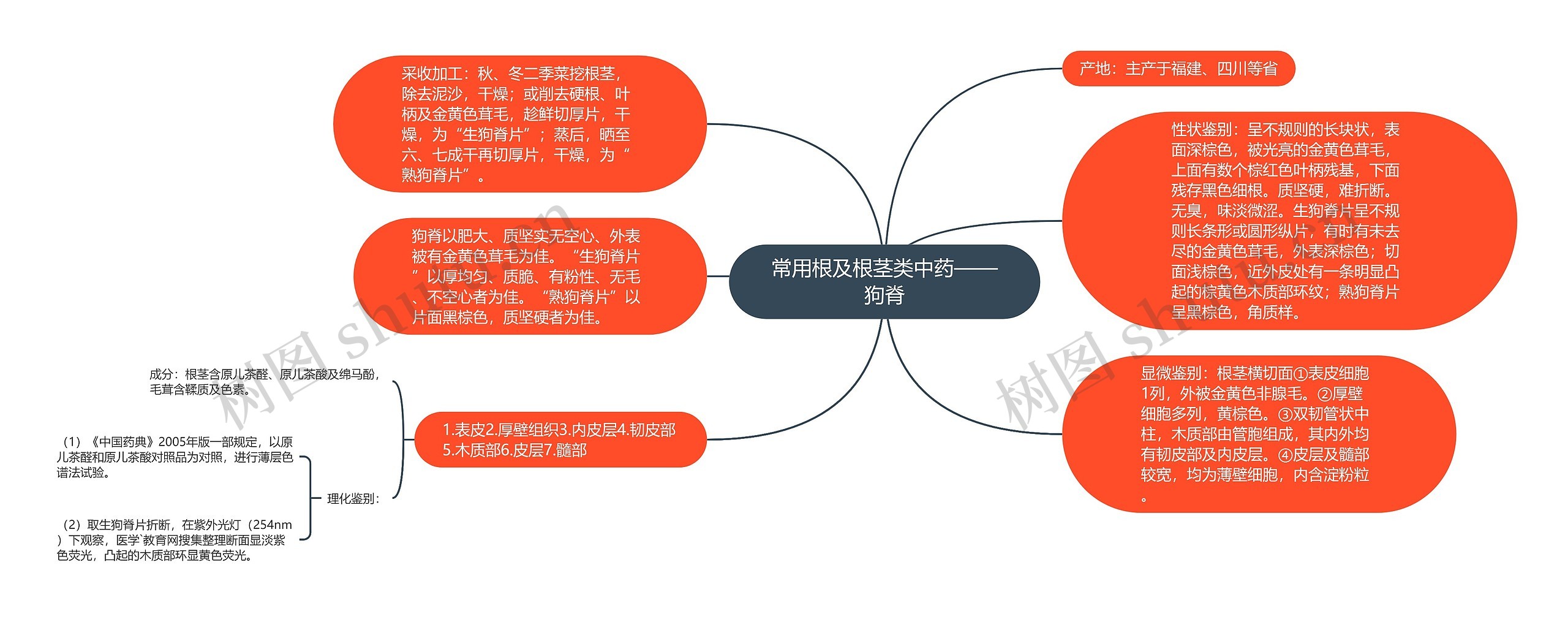 常用根及根茎类中药——狗脊思维导图