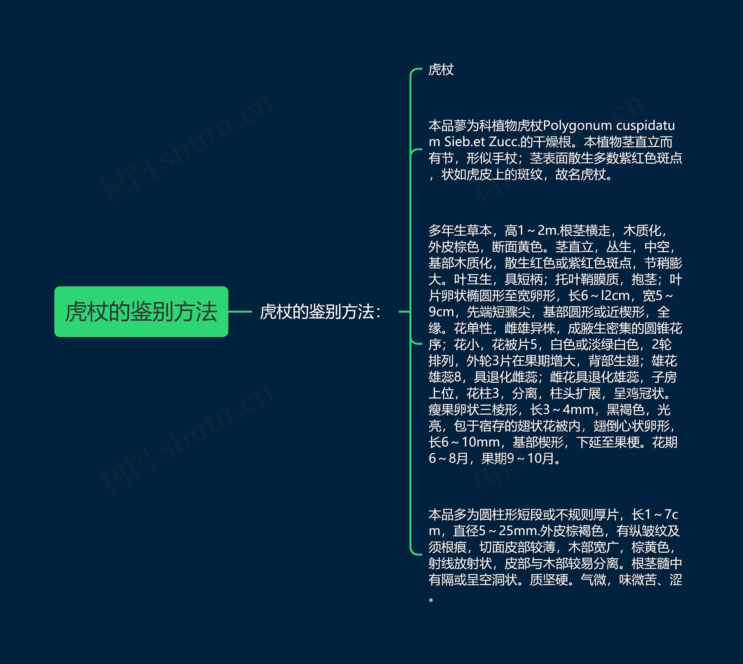 虎杖的鉴别方法 虎杖的鉴别方法