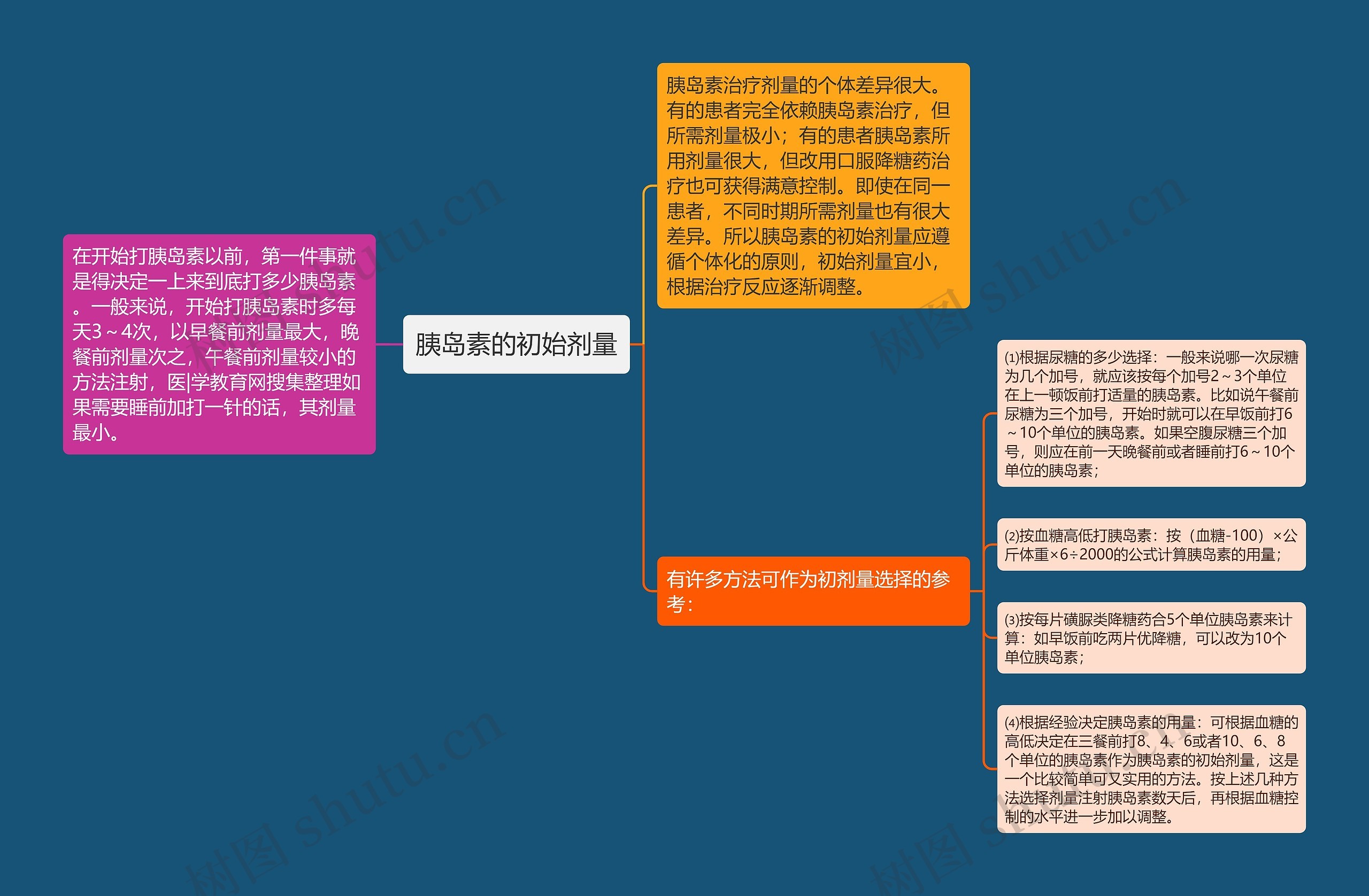 胰岛素的初始剂量思维导图