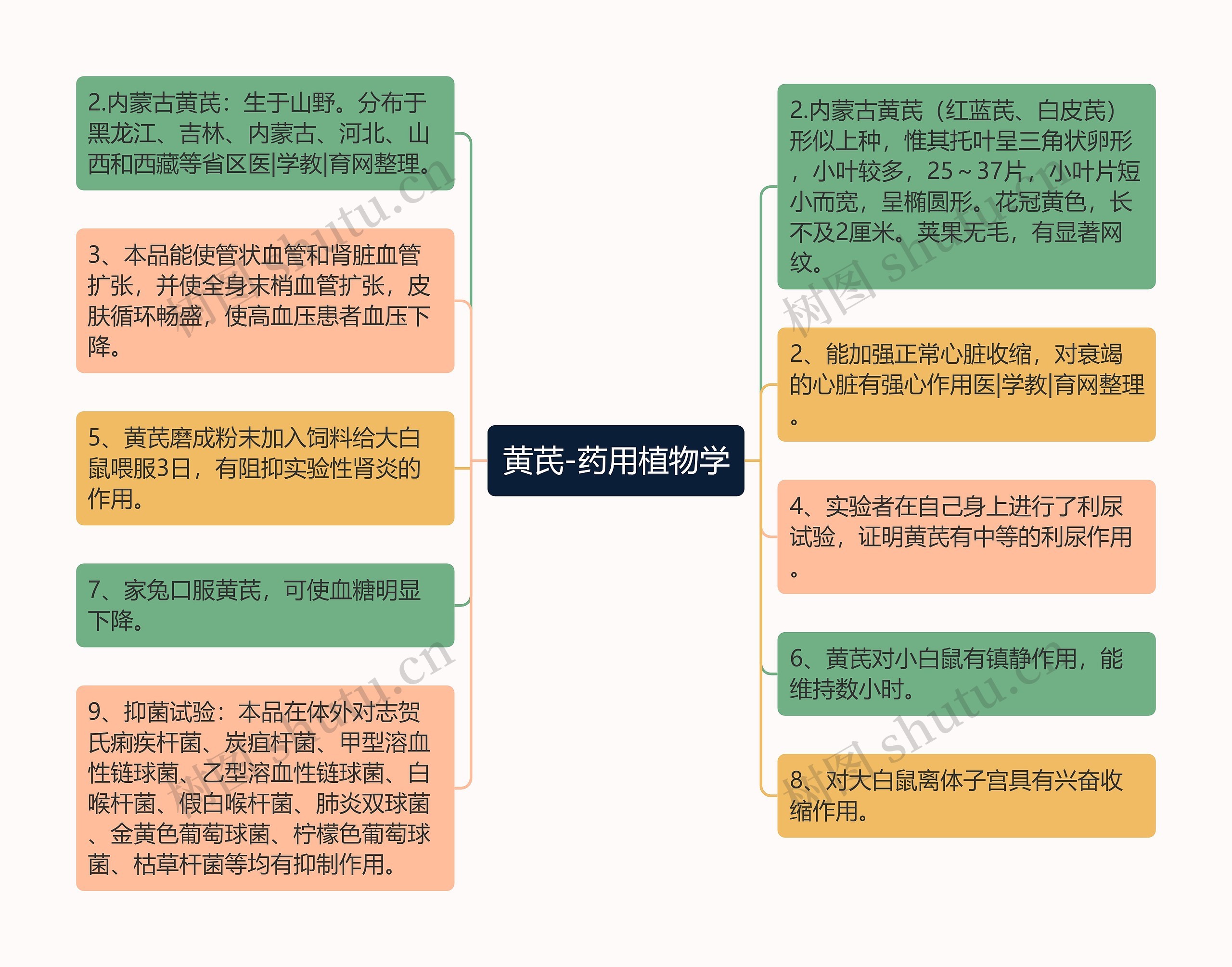 黄芪-药用植物学思维导图