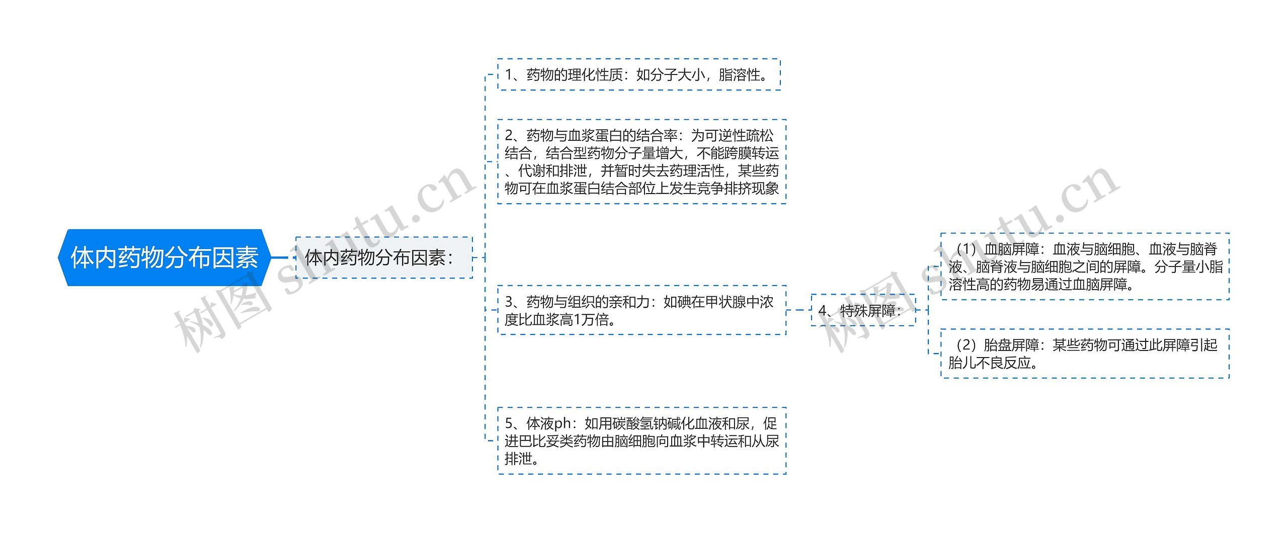 体内药物分布因素思维导图