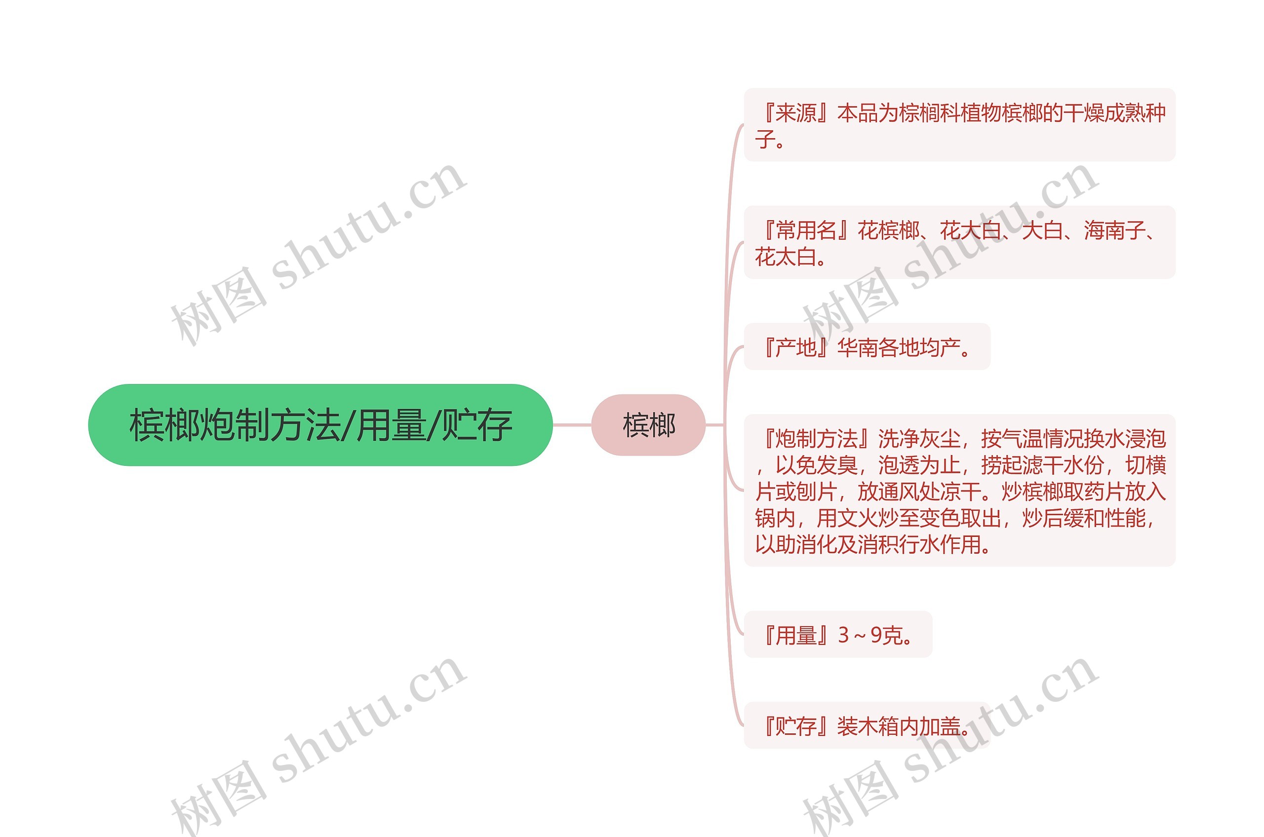 槟榔炮制方法/用量/贮存思维导图
