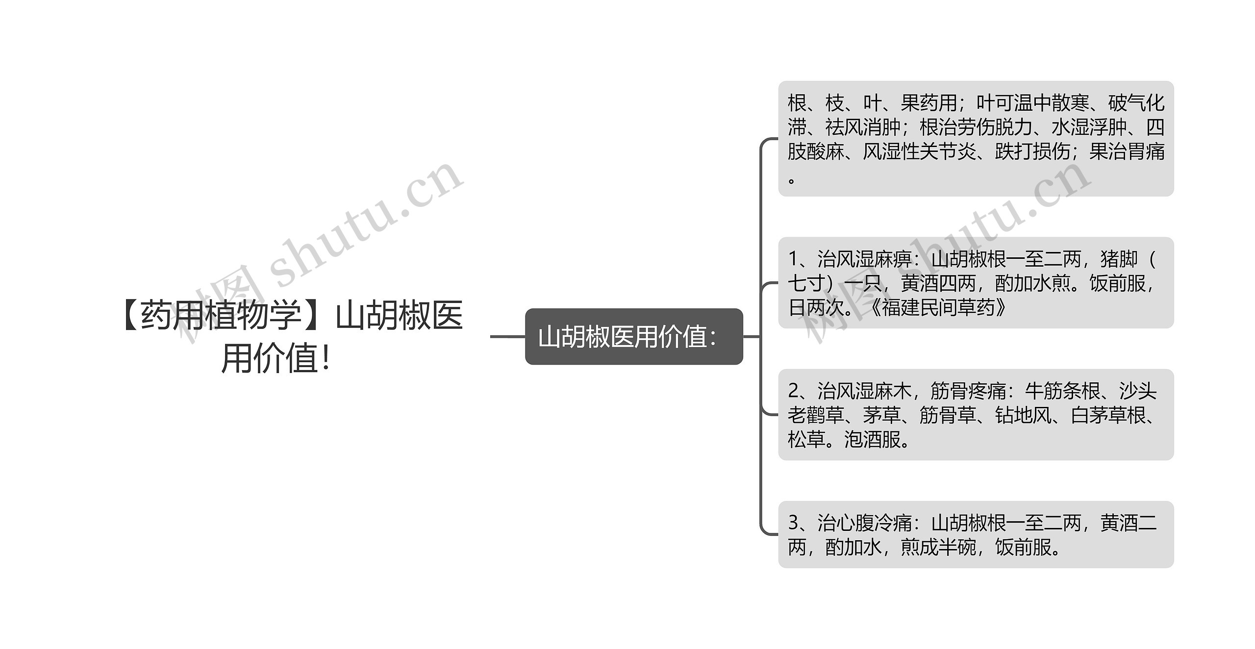 【药用植物学】山胡椒医用价值！