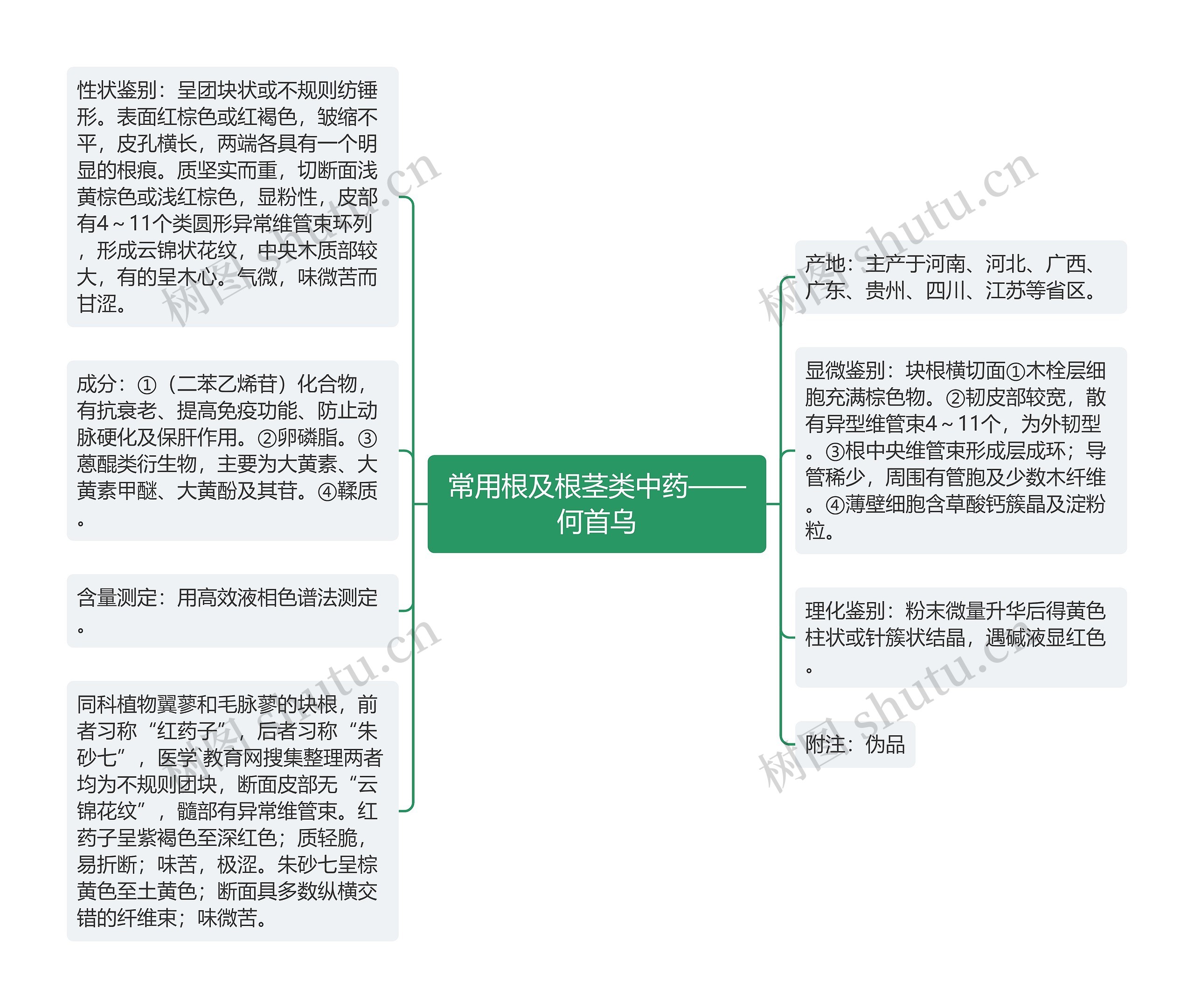 常用根及根茎类中药——何首乌