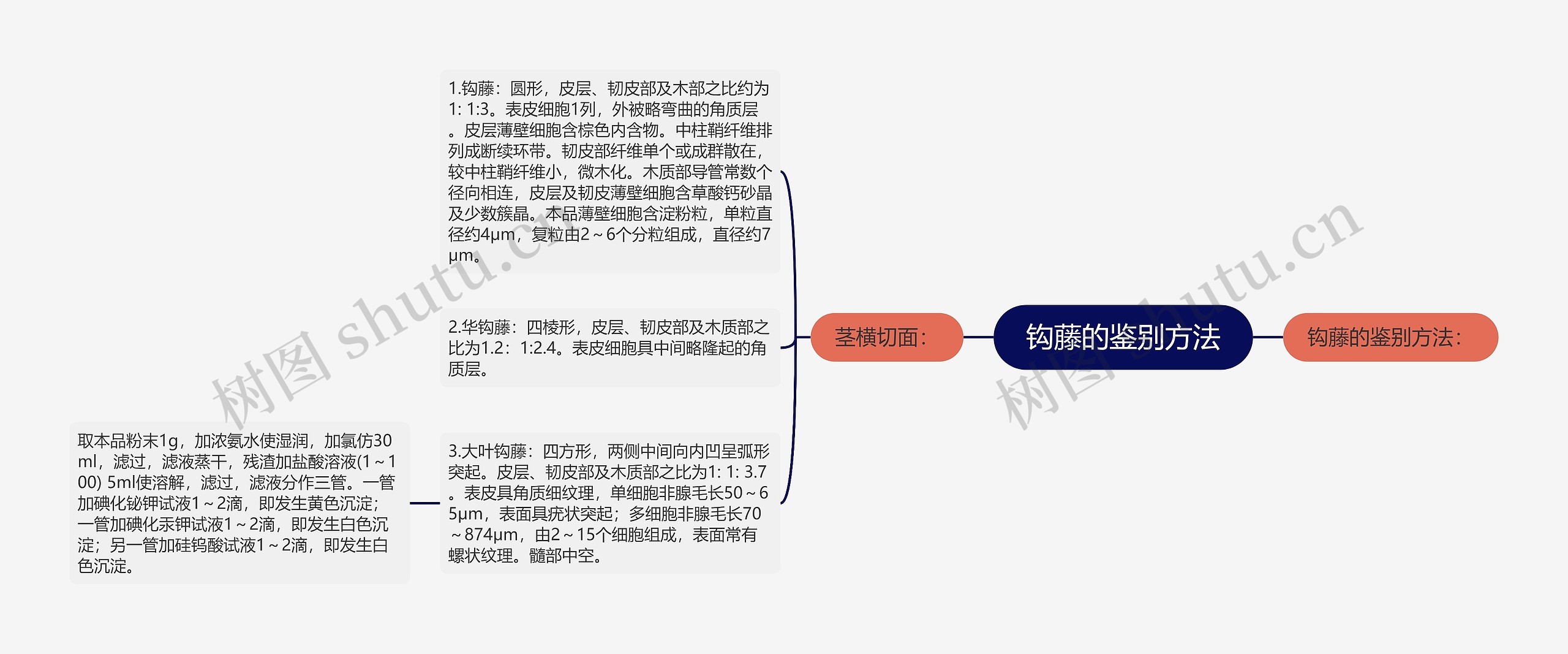 钩藤的鉴别方法 钩藤的鉴别方法