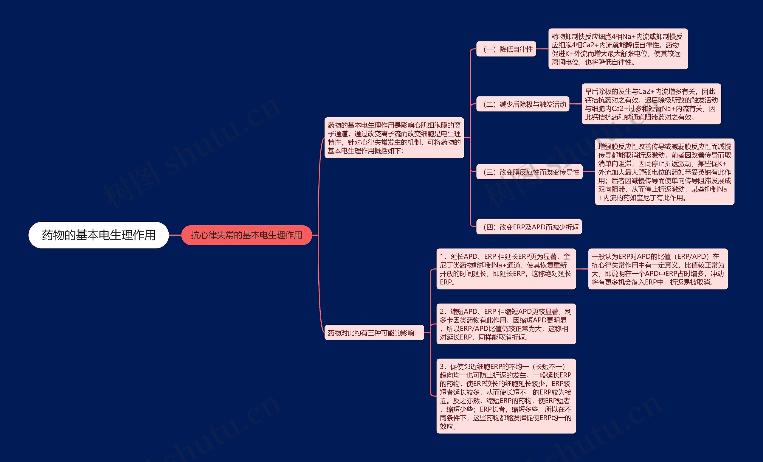 药物的基本电生理作用思维导图