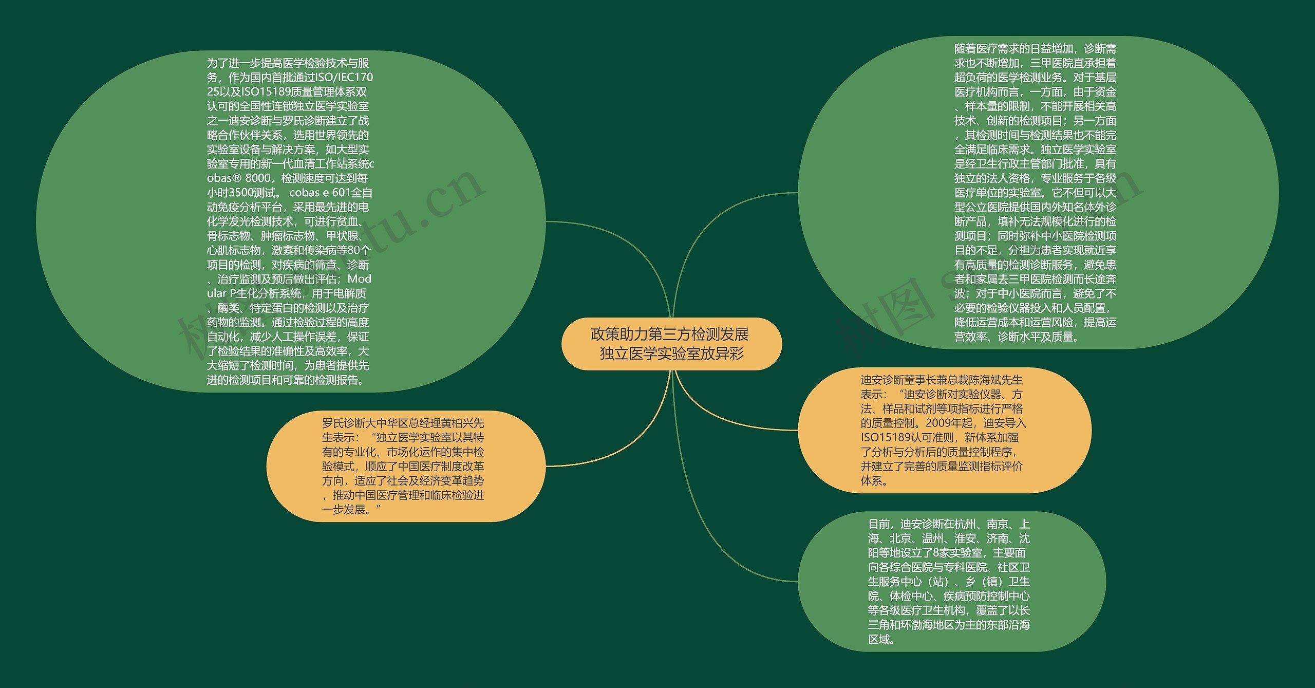 政策助力第三方检测发展 独立医学实验室放异彩思维导图