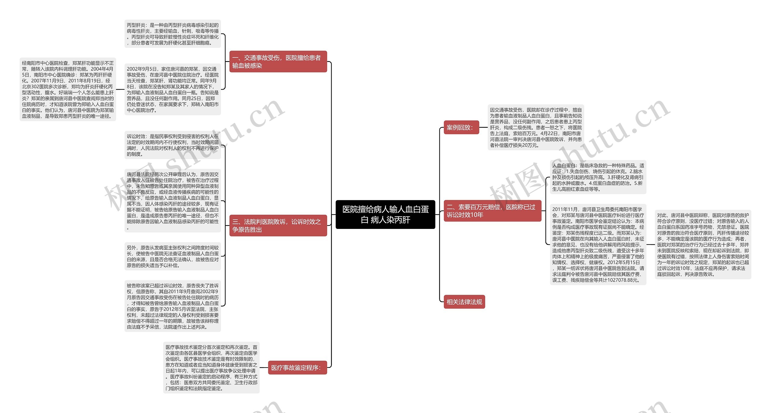 医院擅给病人输人血白蛋白 病人染丙肝思维导图