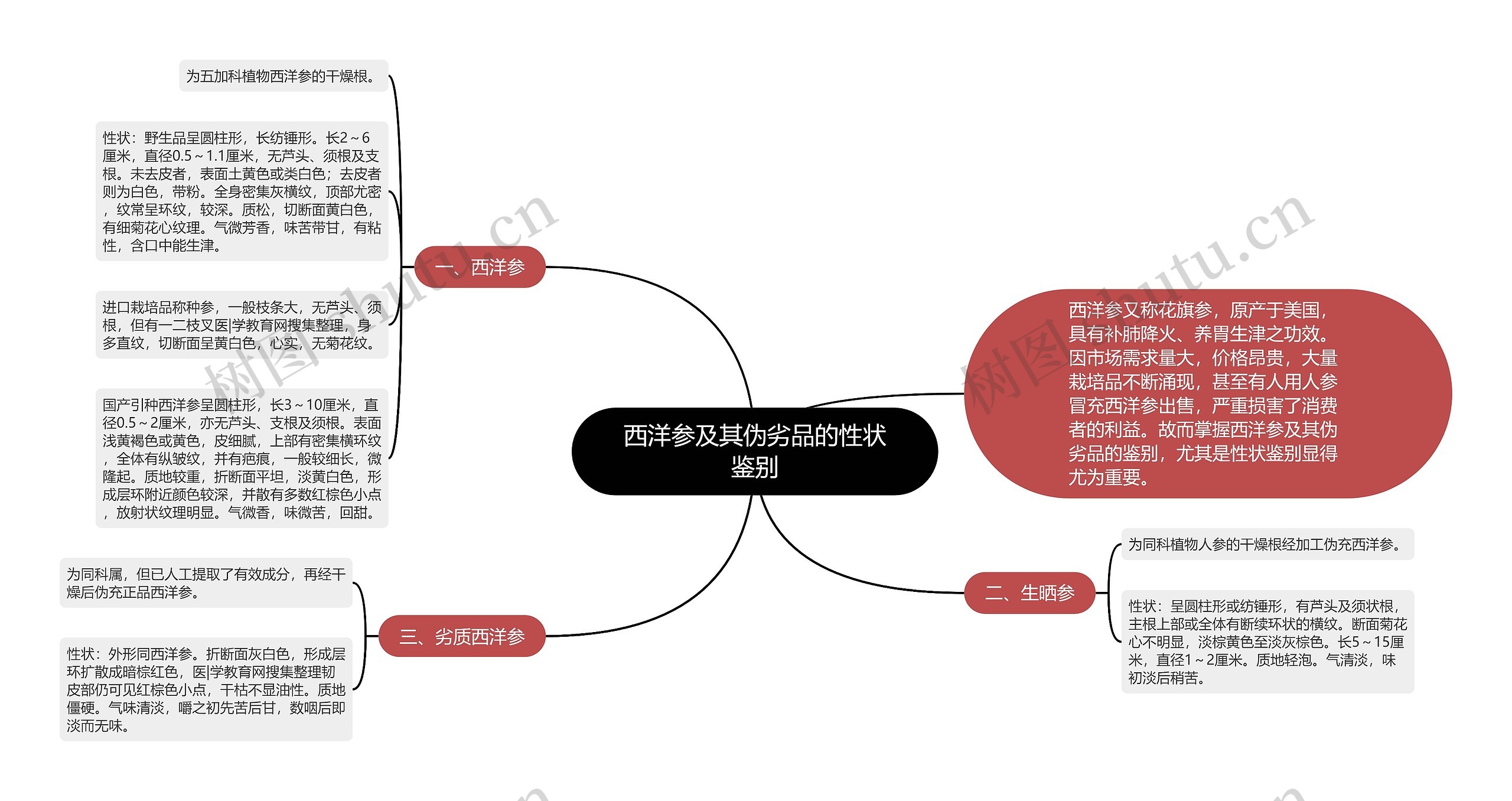 西洋参及其伪劣品的性状鉴别思维导图