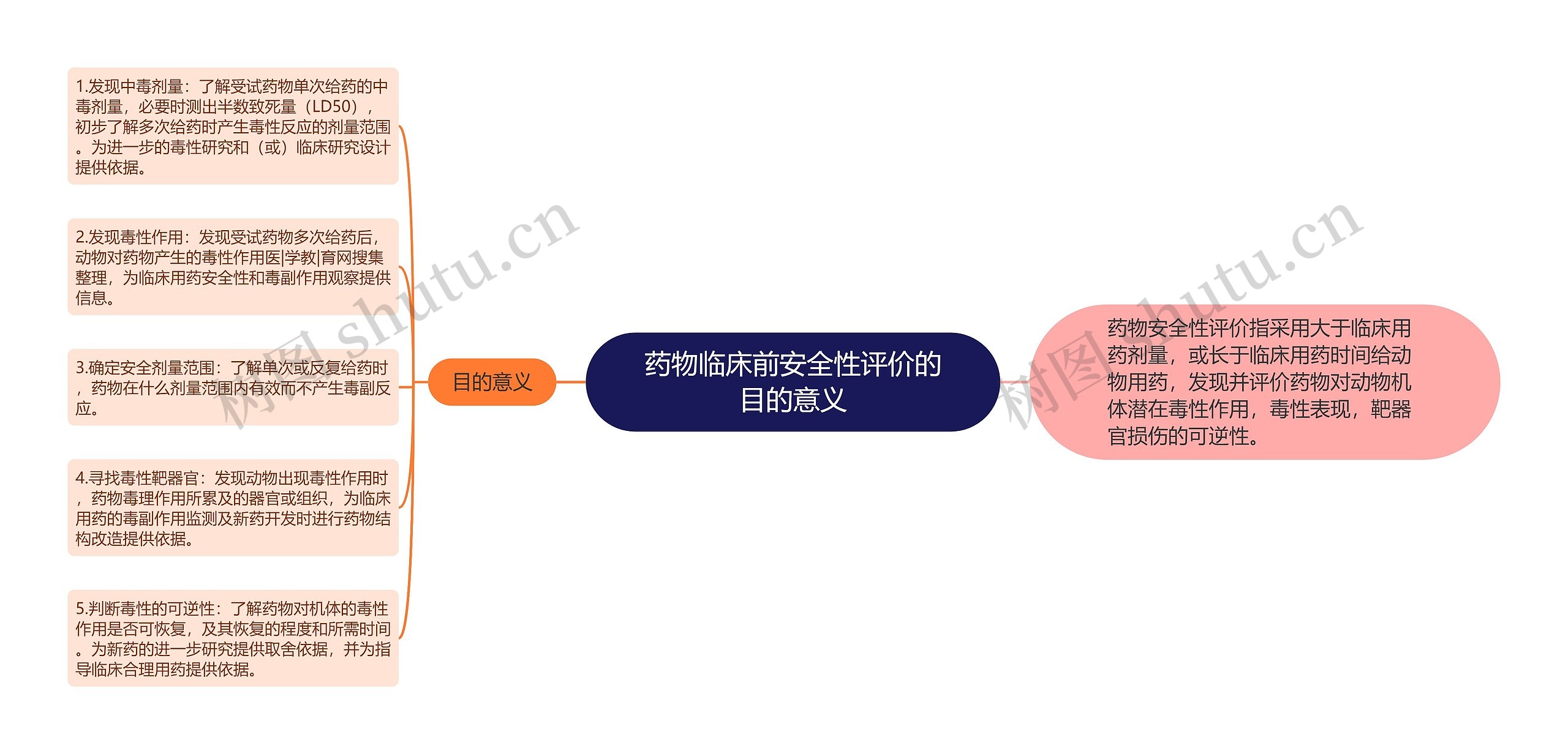 药物临床前安全性评价的目的意义思维导图