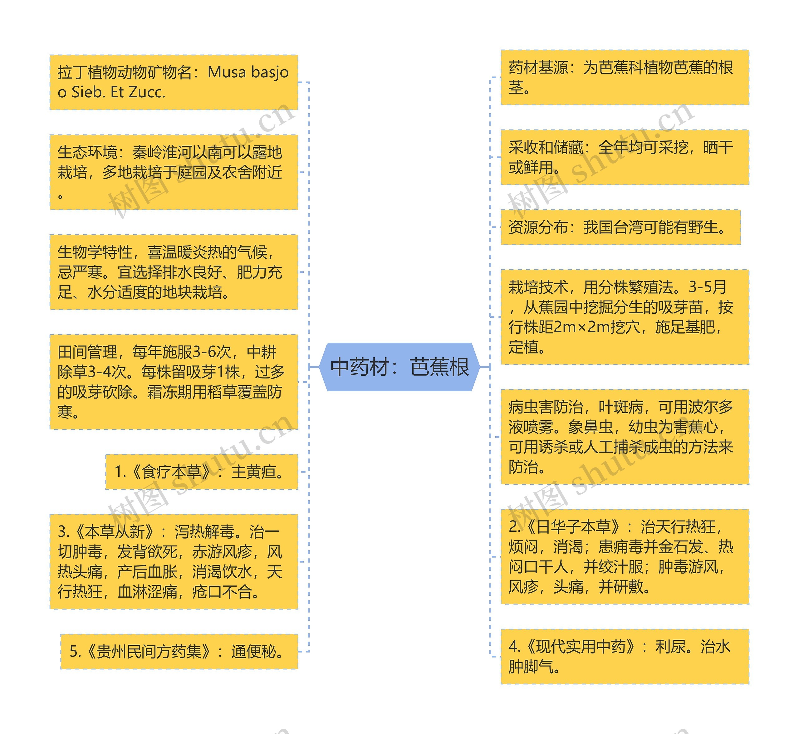 中药材：芭蕉根思维导图