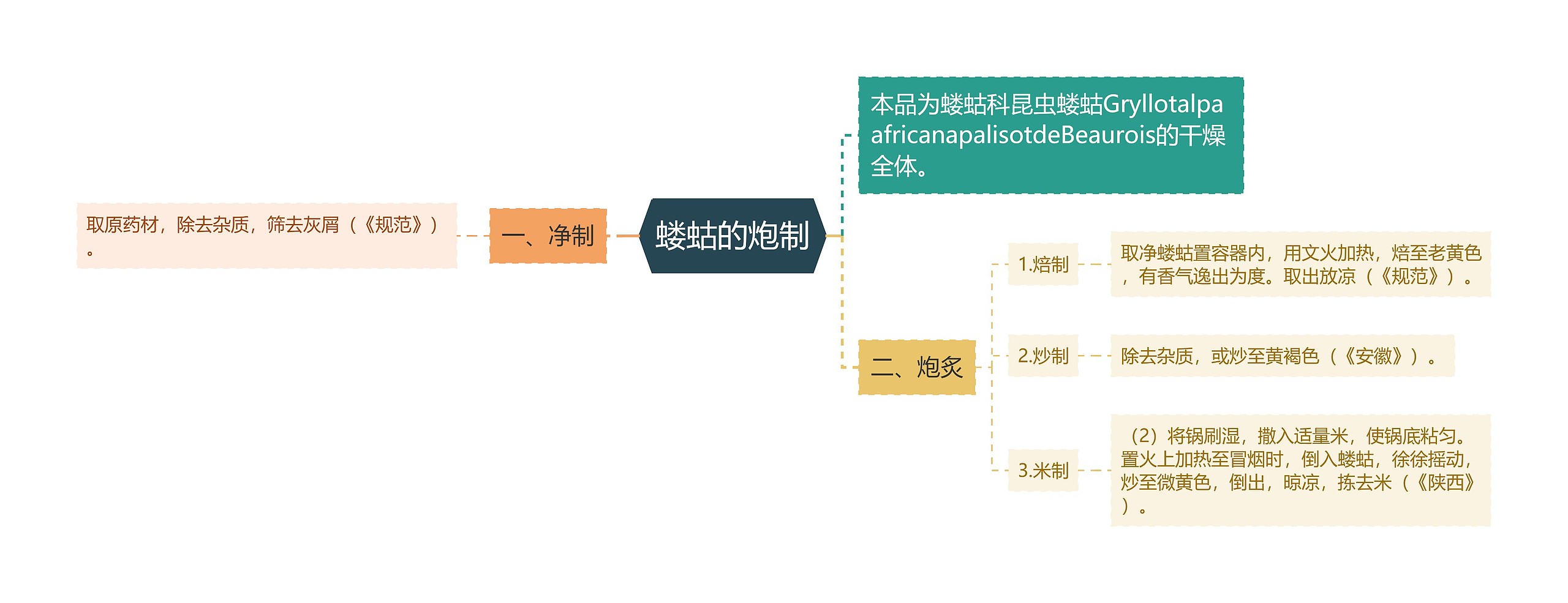 蝼蛄的炮制思维导图