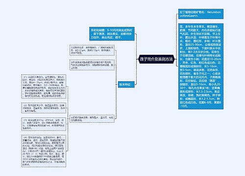 莲子简介及鉴别方法