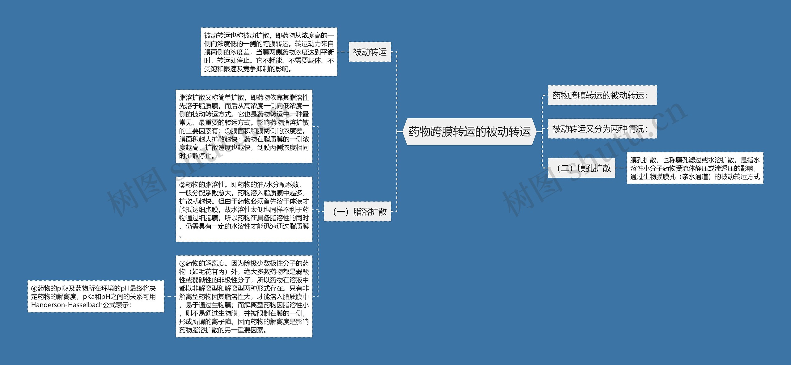 生物被动运输思维导图图片