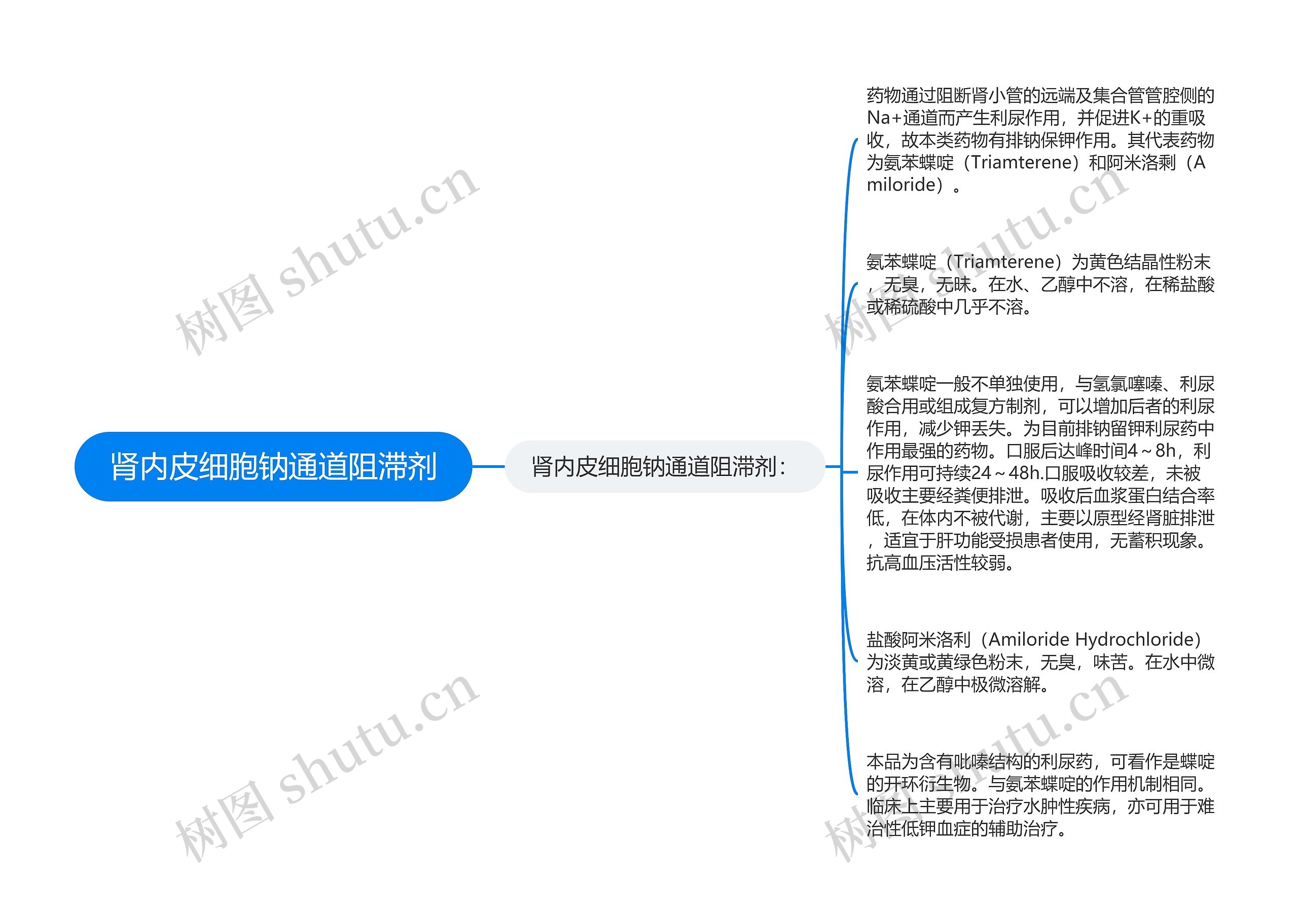 肾内皮细胞钠通道阻滞剂 肾内皮细胞钠通道阻滞剂