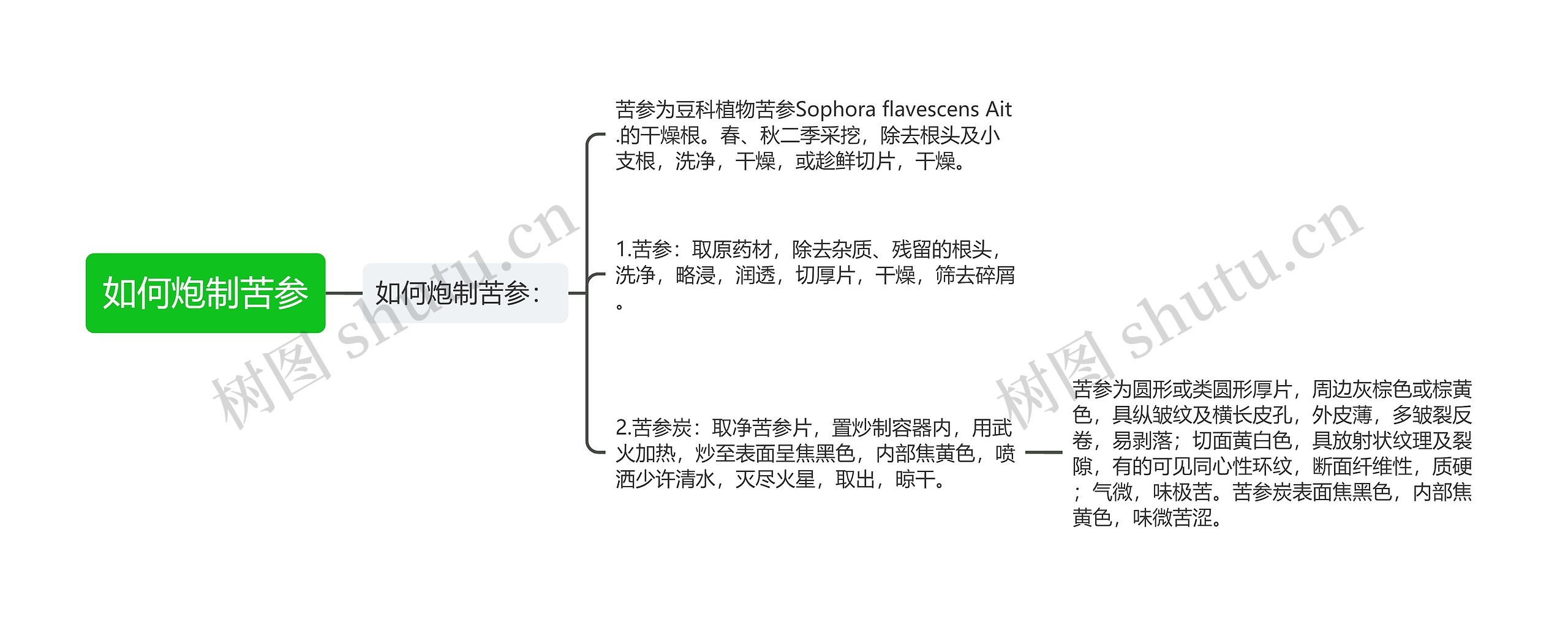 如何炮制苦参思维导图