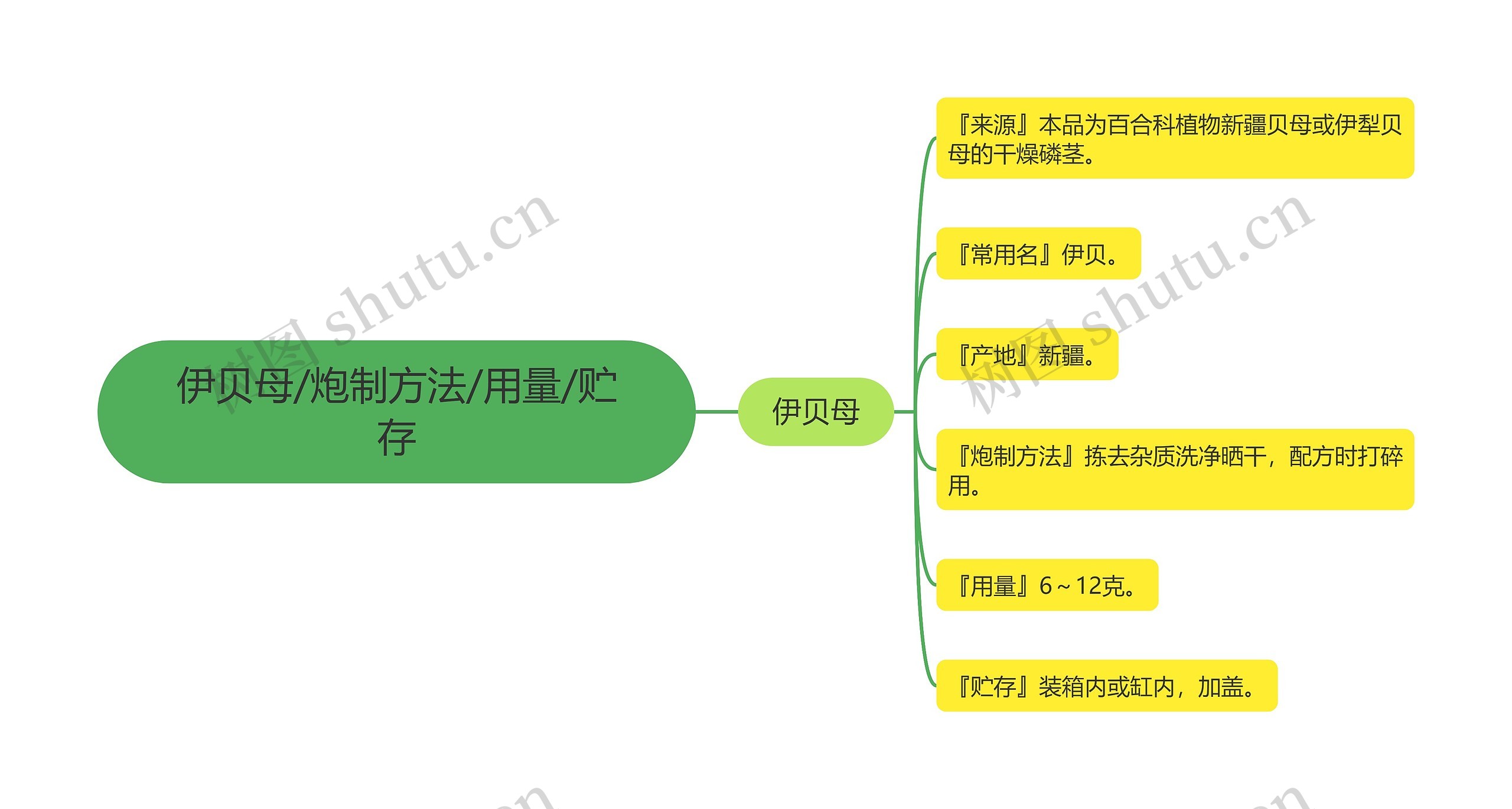 伊贝母/炮制方法/用量/贮存