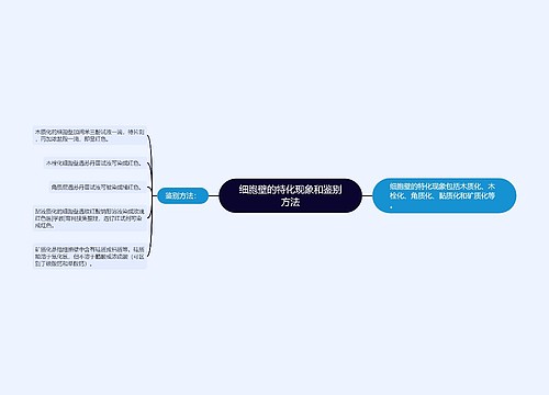 细胞壁的特化现象和鉴别方法