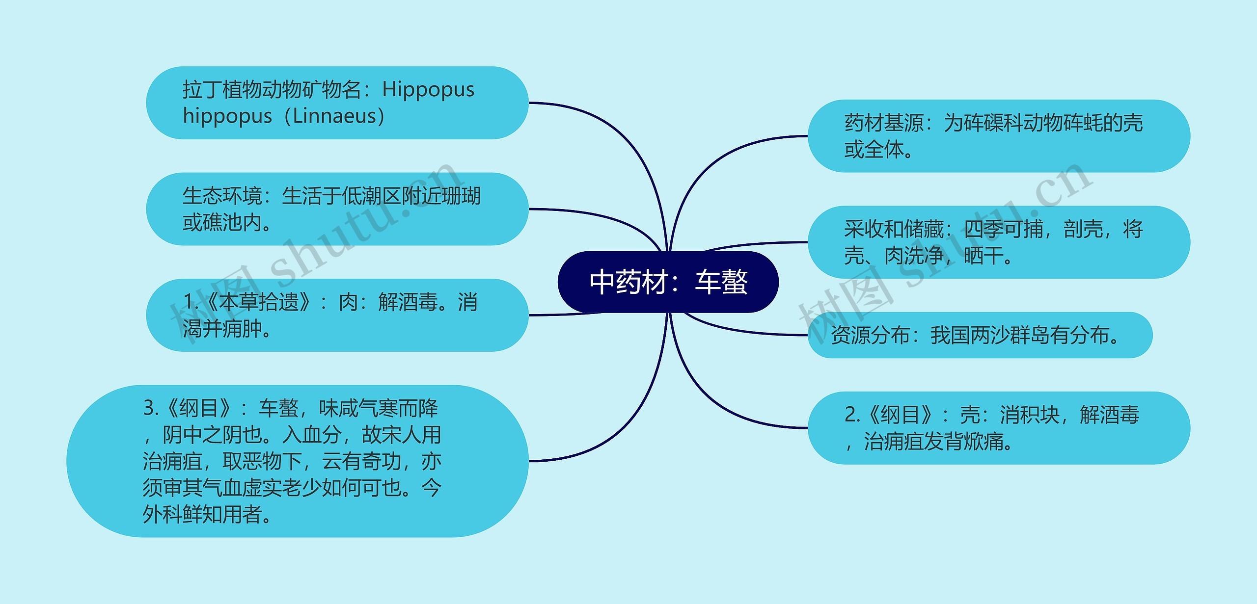 中药材：车螯思维导图