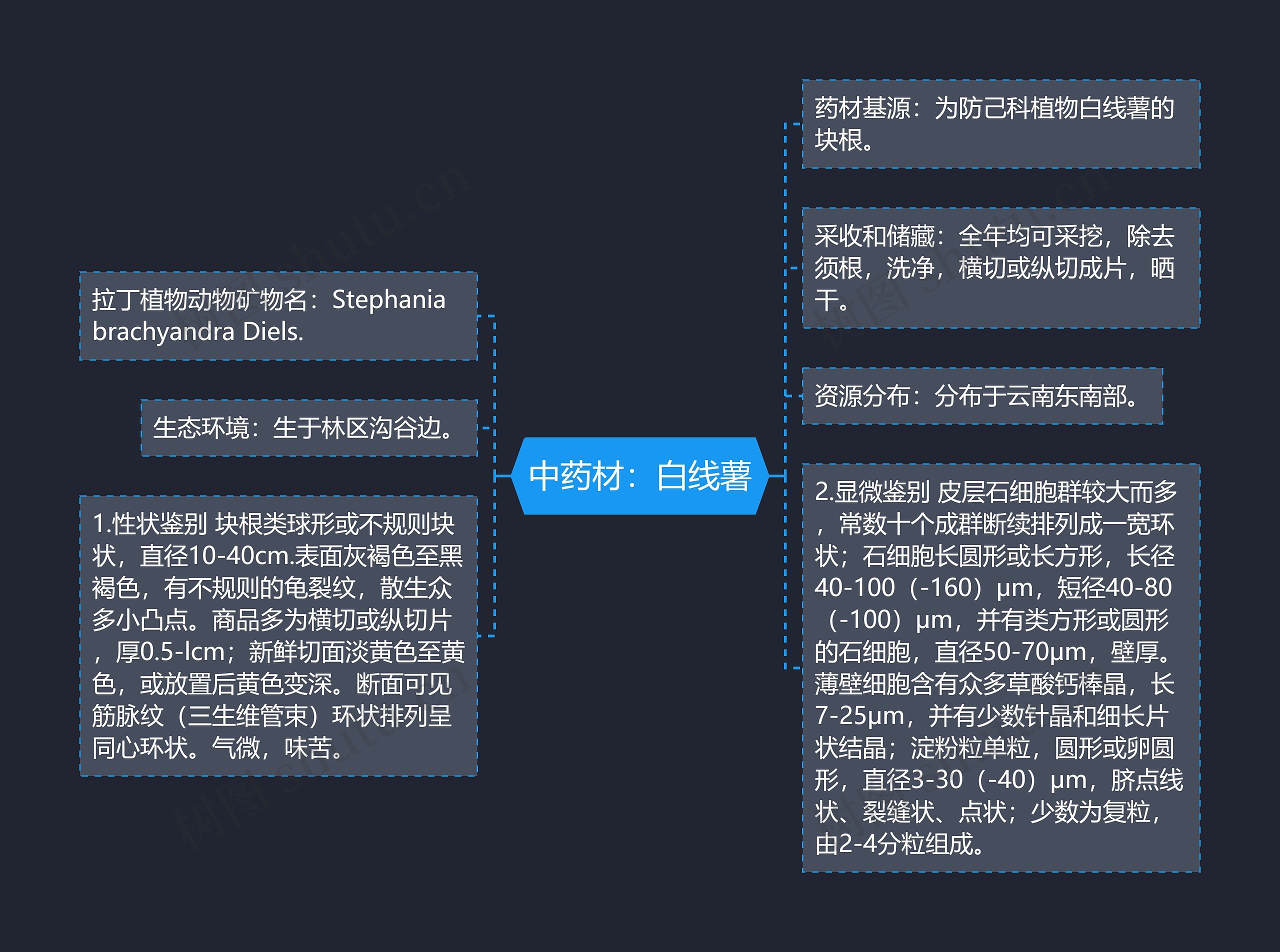 中药材：白线薯思维导图