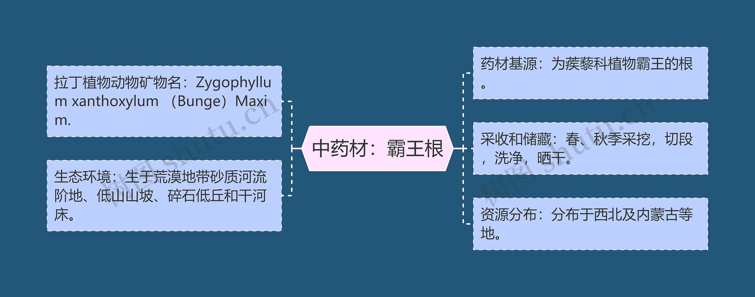 中药材：霸王根思维导图