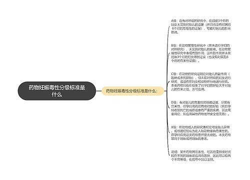 药物妊娠毒性分级标准是什么