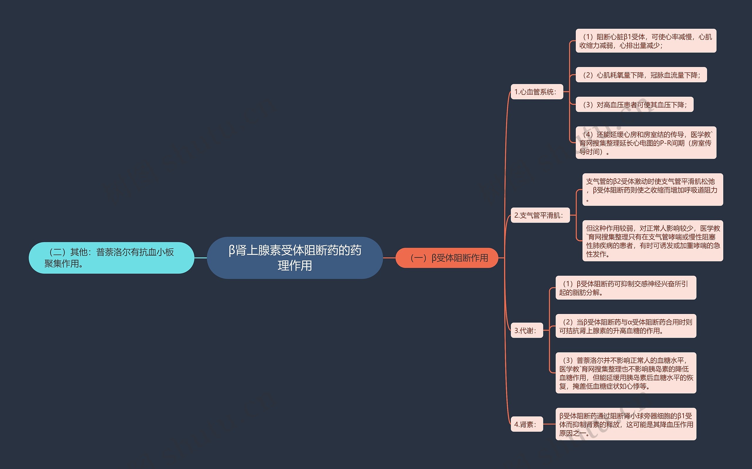 β肾上腺素受体阻断药的药理作用思维导图