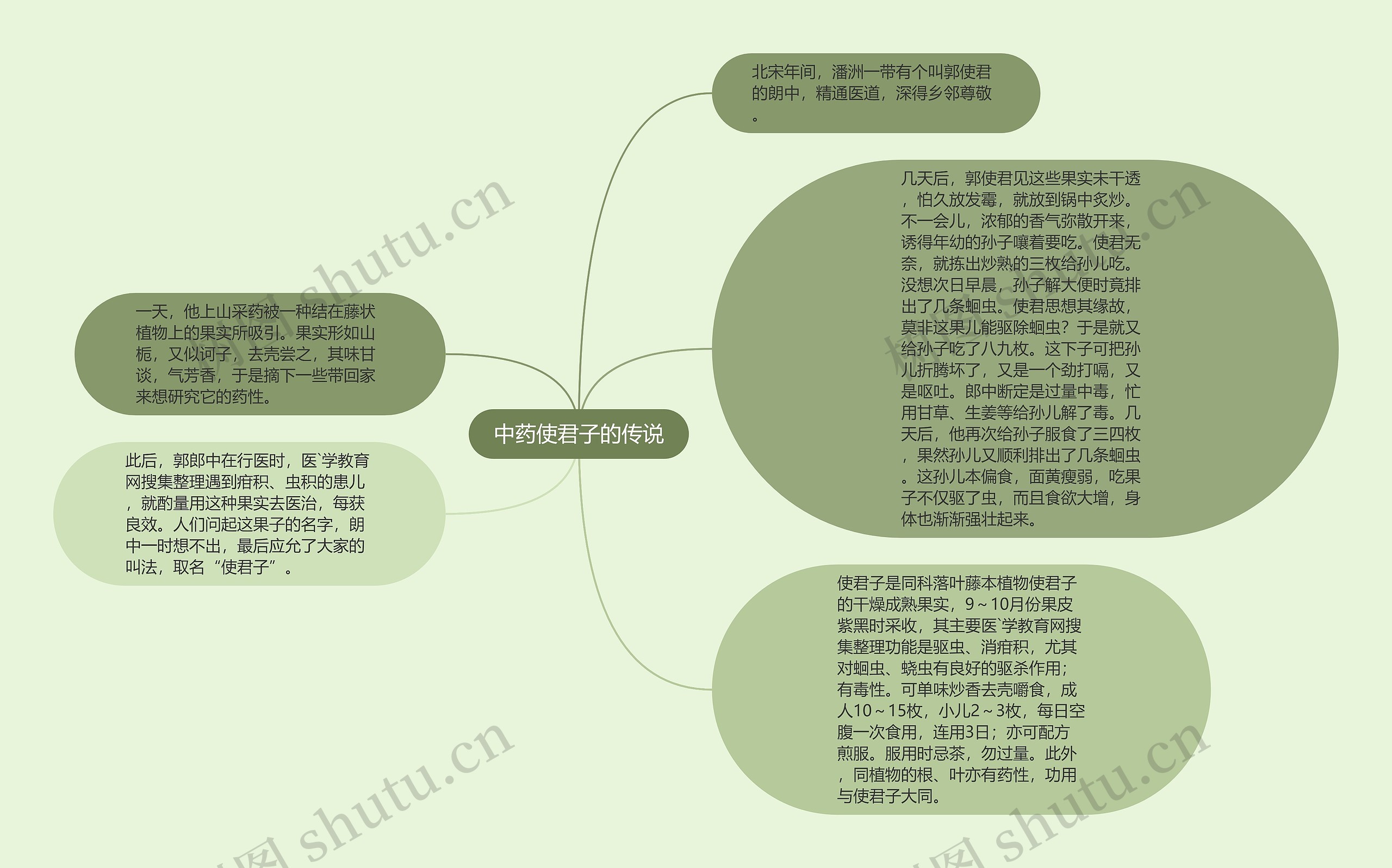 中药使君子的传说思维导图