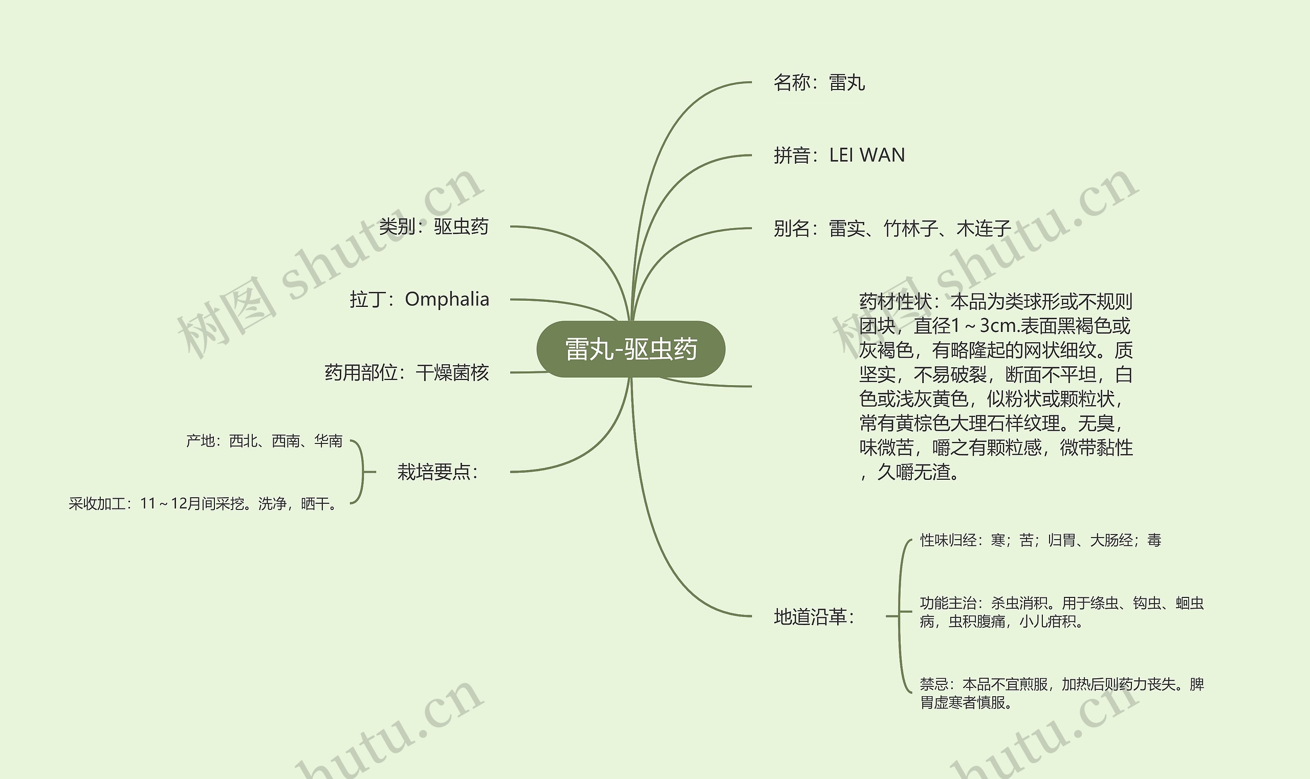 雷丸-驱虫药思维导图