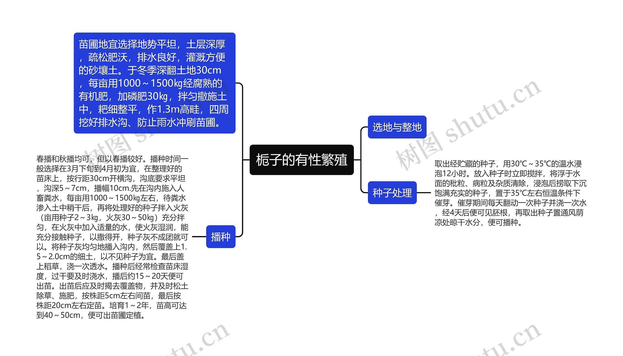 栀子的有性繁殖思维导图