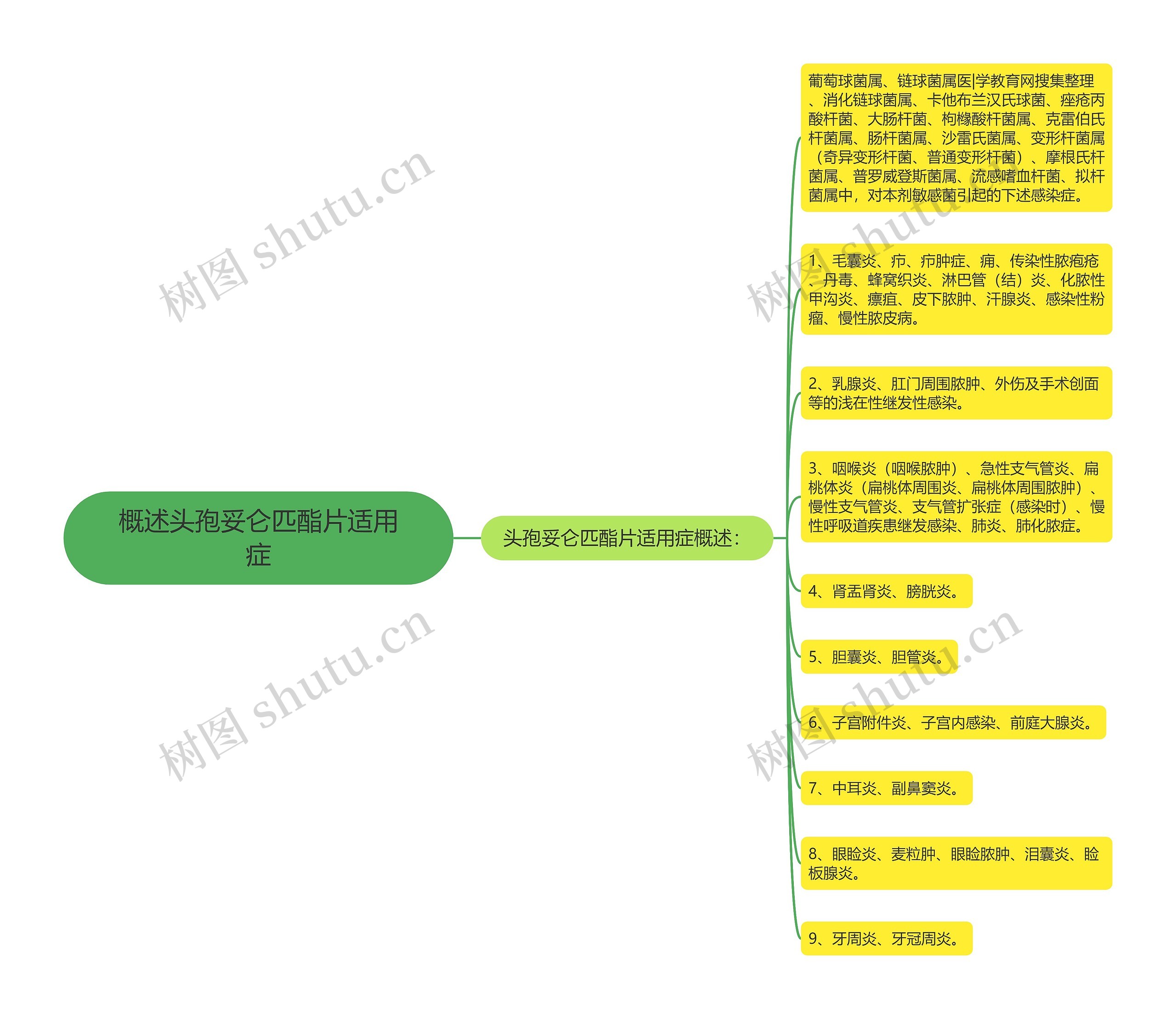 概述头孢妥仑匹酯片适用症思维导图