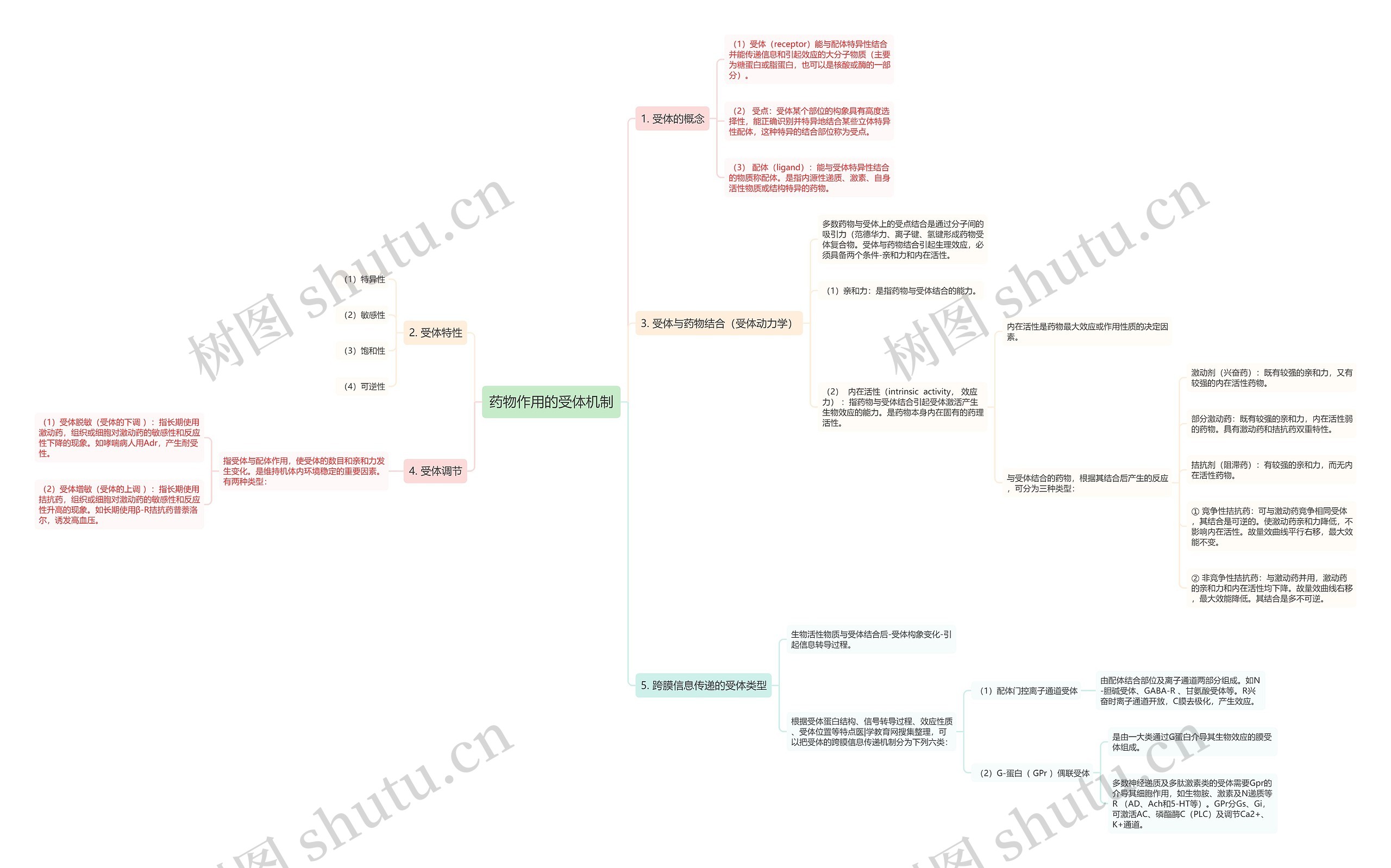 药物作用的受体机制思维导图
