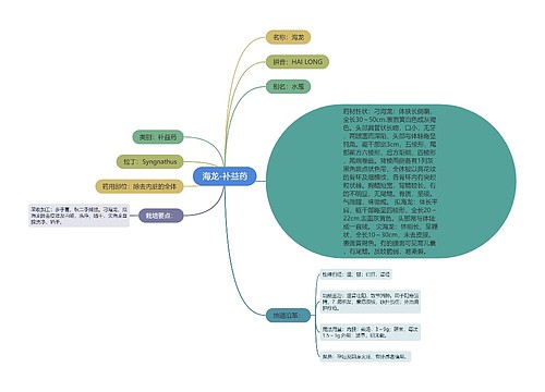 海龙-补益药