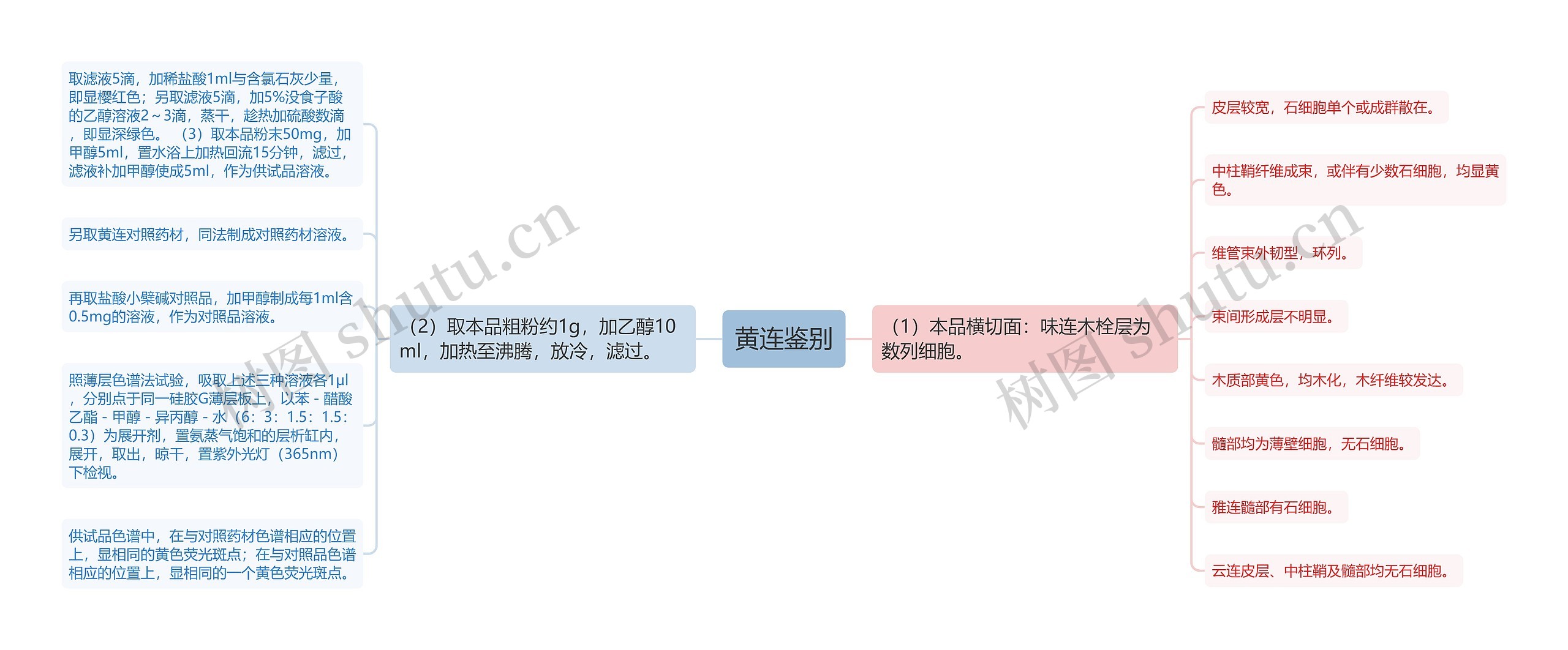 黄连鉴别思维导图