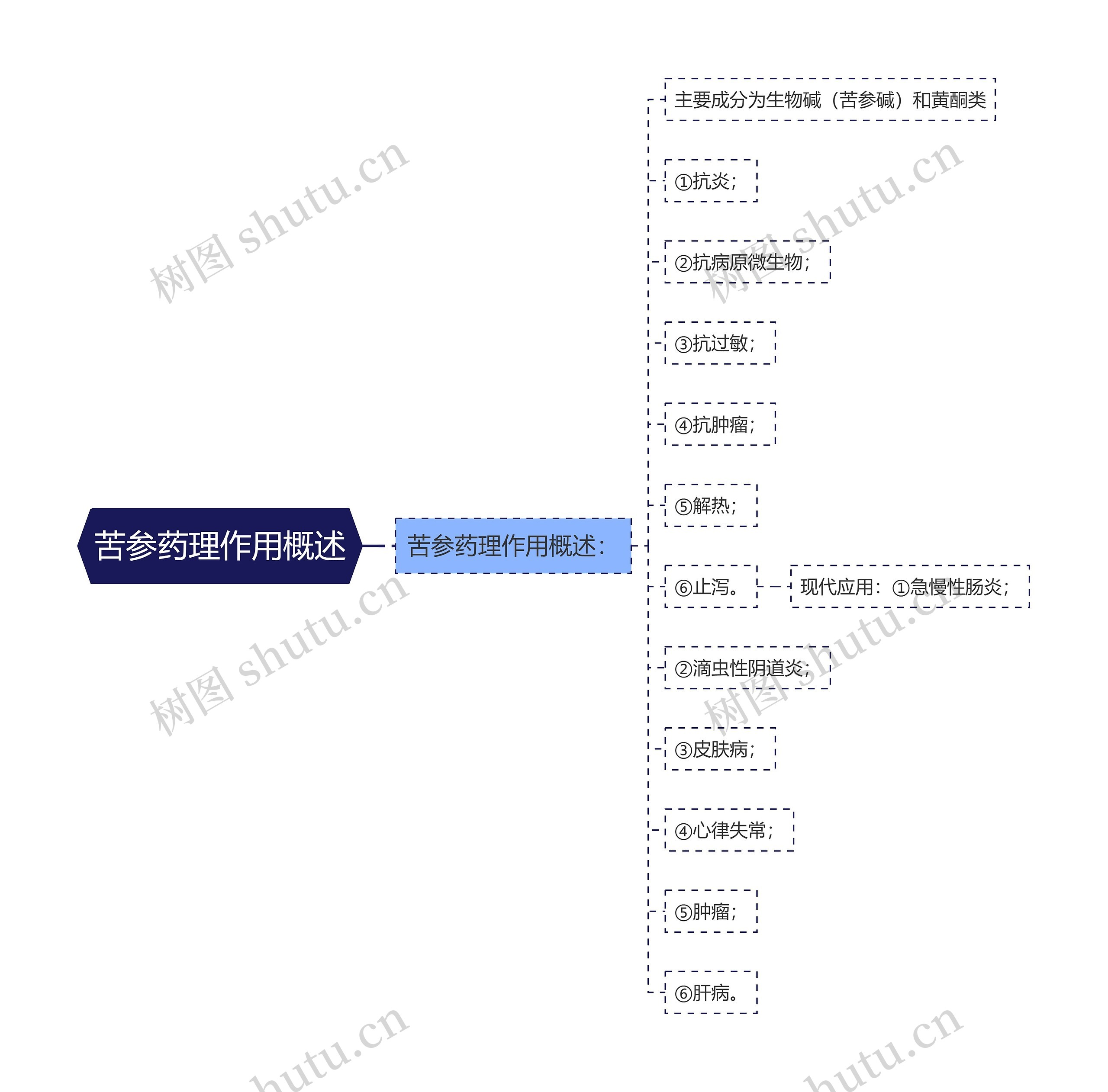 苦参药理作用概述思维导图