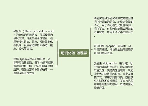 助消化药-药理学