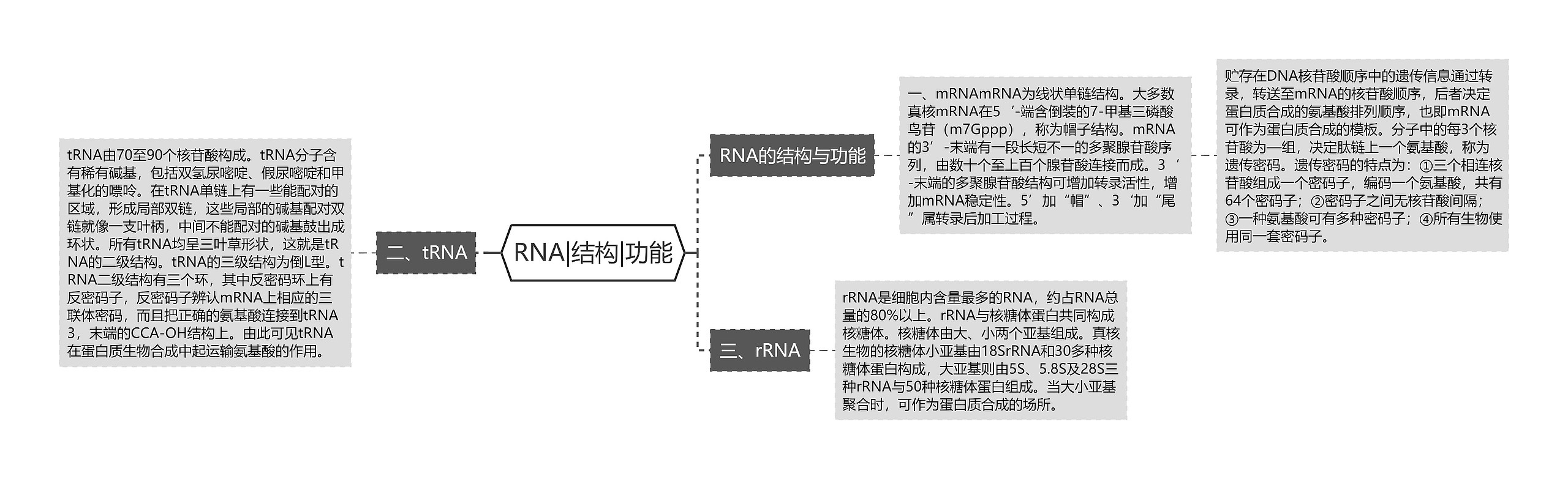 RNA|结构|功能思维导图