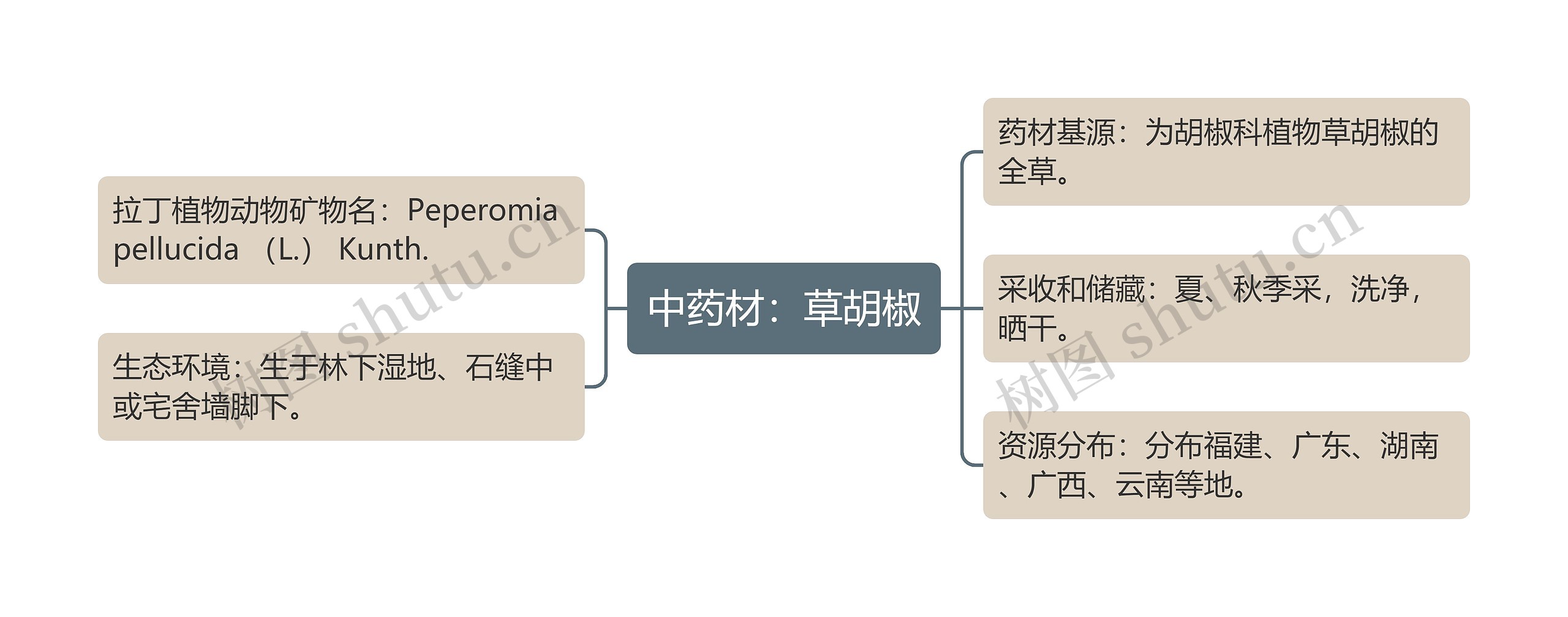 中药材：草胡椒思维导图